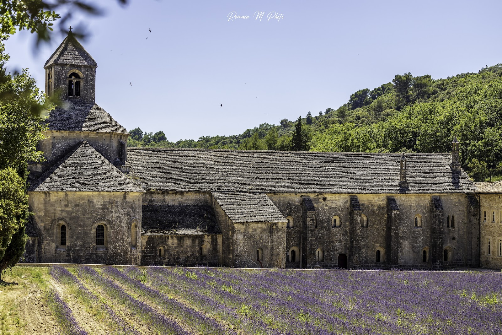 Abbaye Notre-Dame de Sénanque — Oficiais