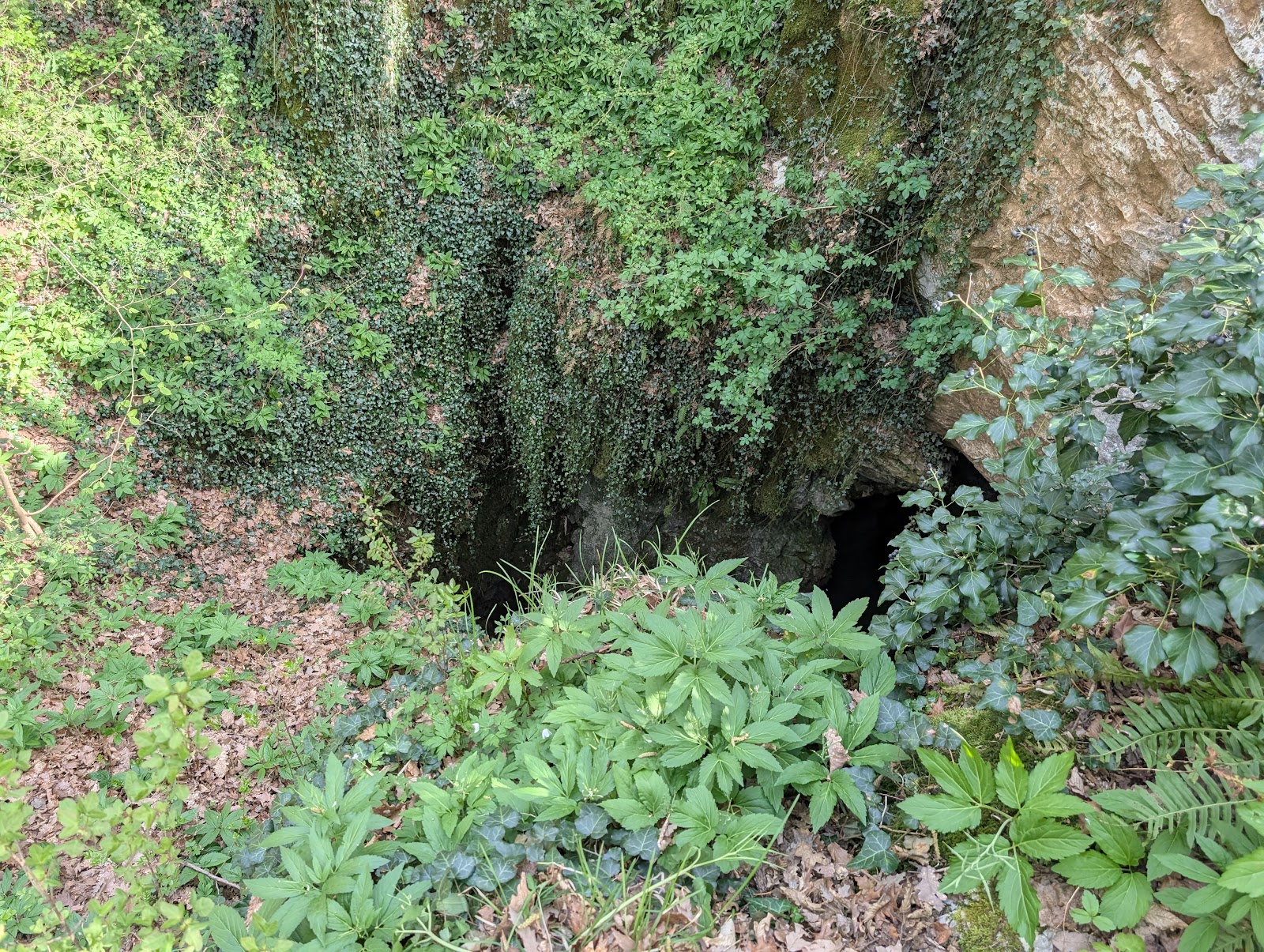 Abisso II di Gropada