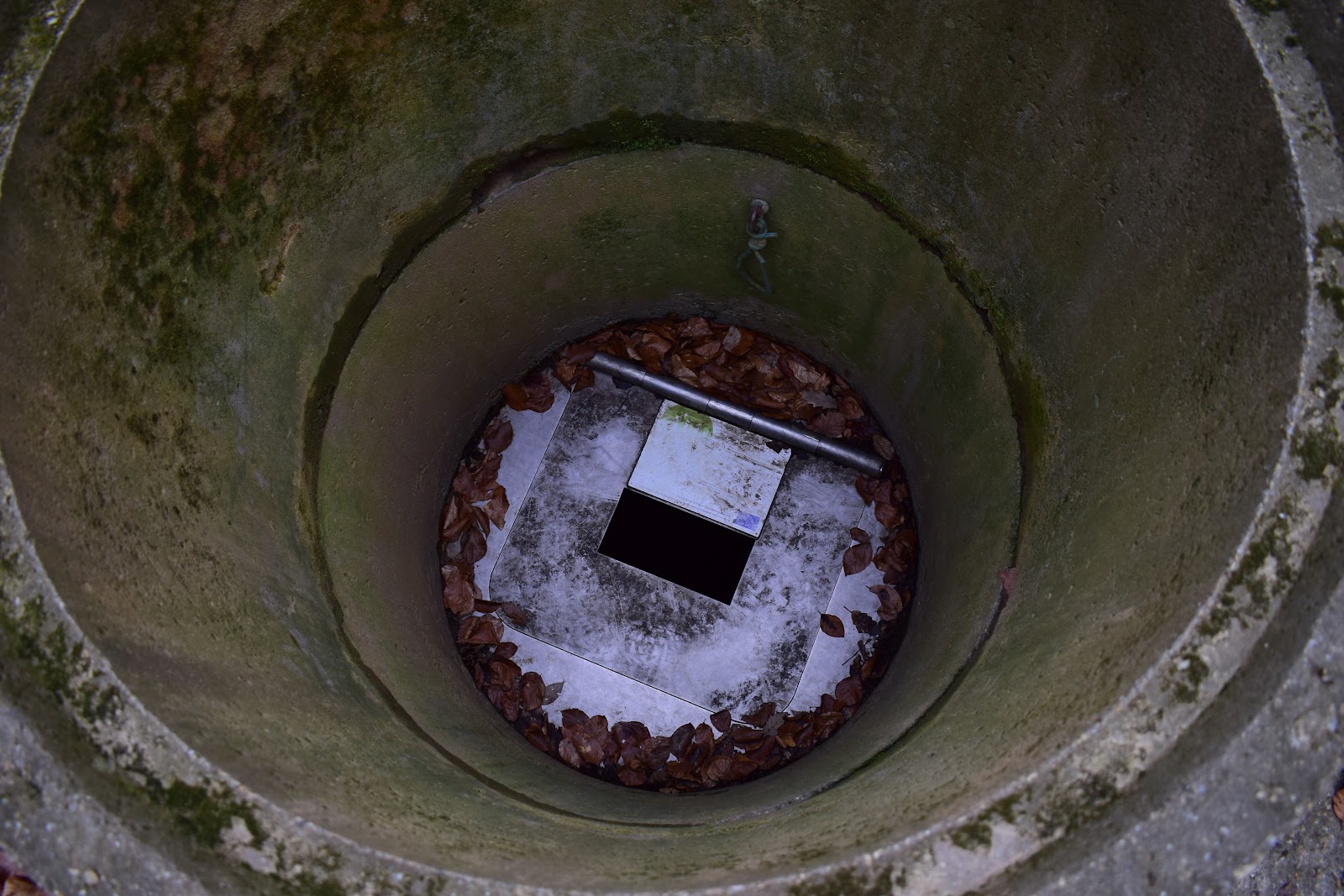 Achilles-víznyelőbarlang karst sinkhole — Oficiais