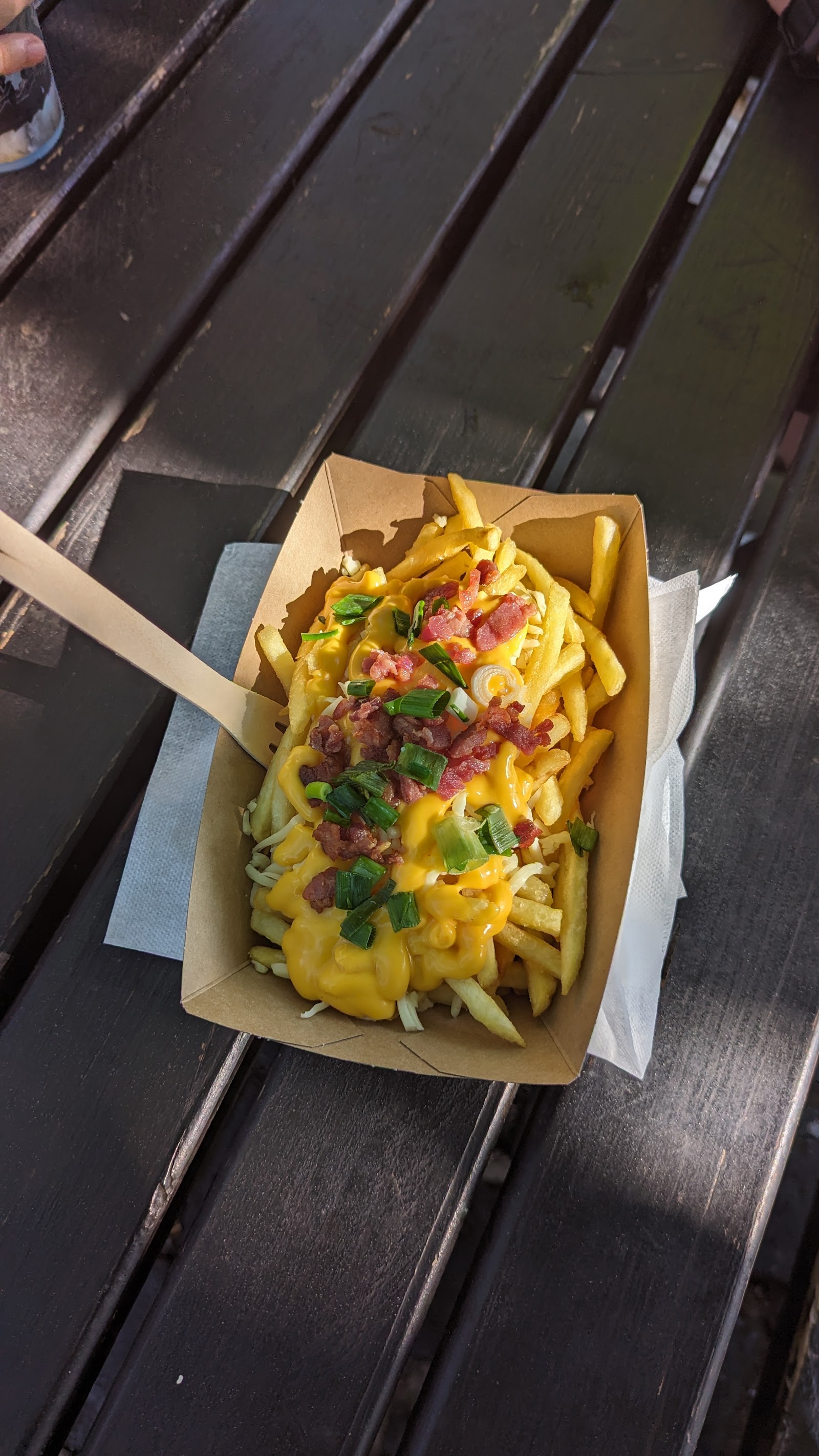 ADVENTURE FRIES — Oficiais