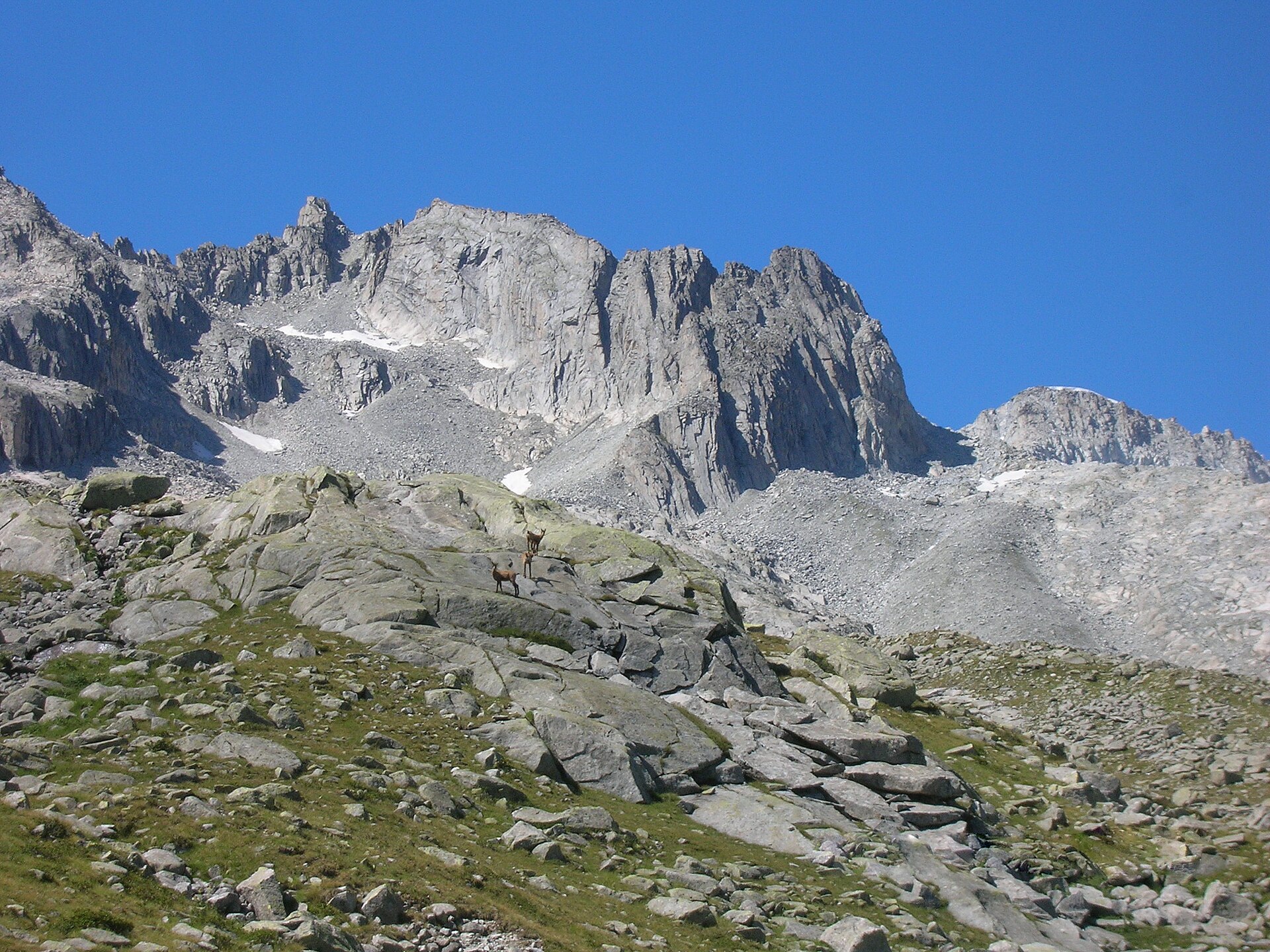 Ago di Nardis
