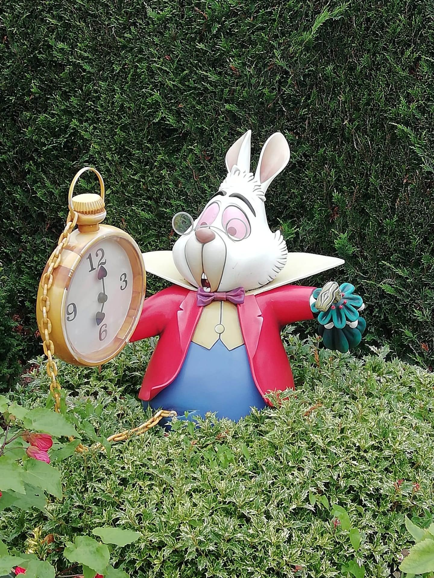 Alice in Wonderland — Oficiais