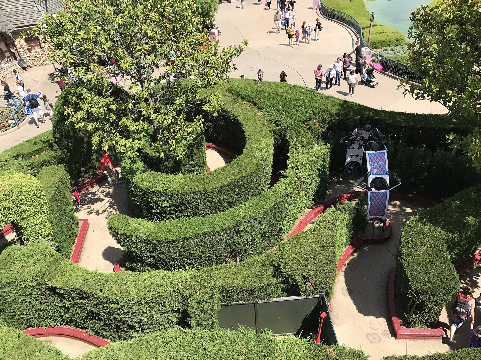Alice's Curious Labyrinth