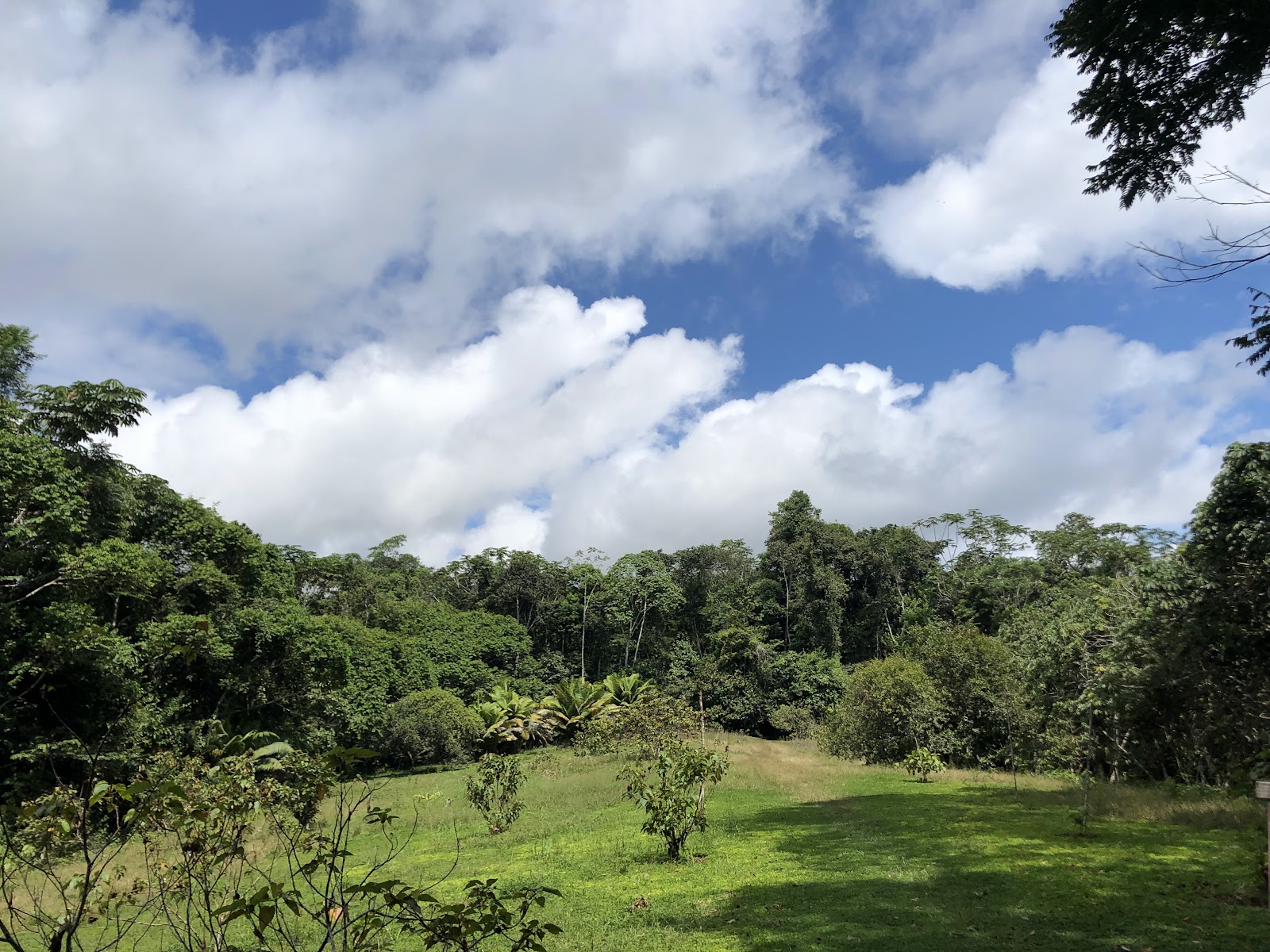 Allpahuayo sector