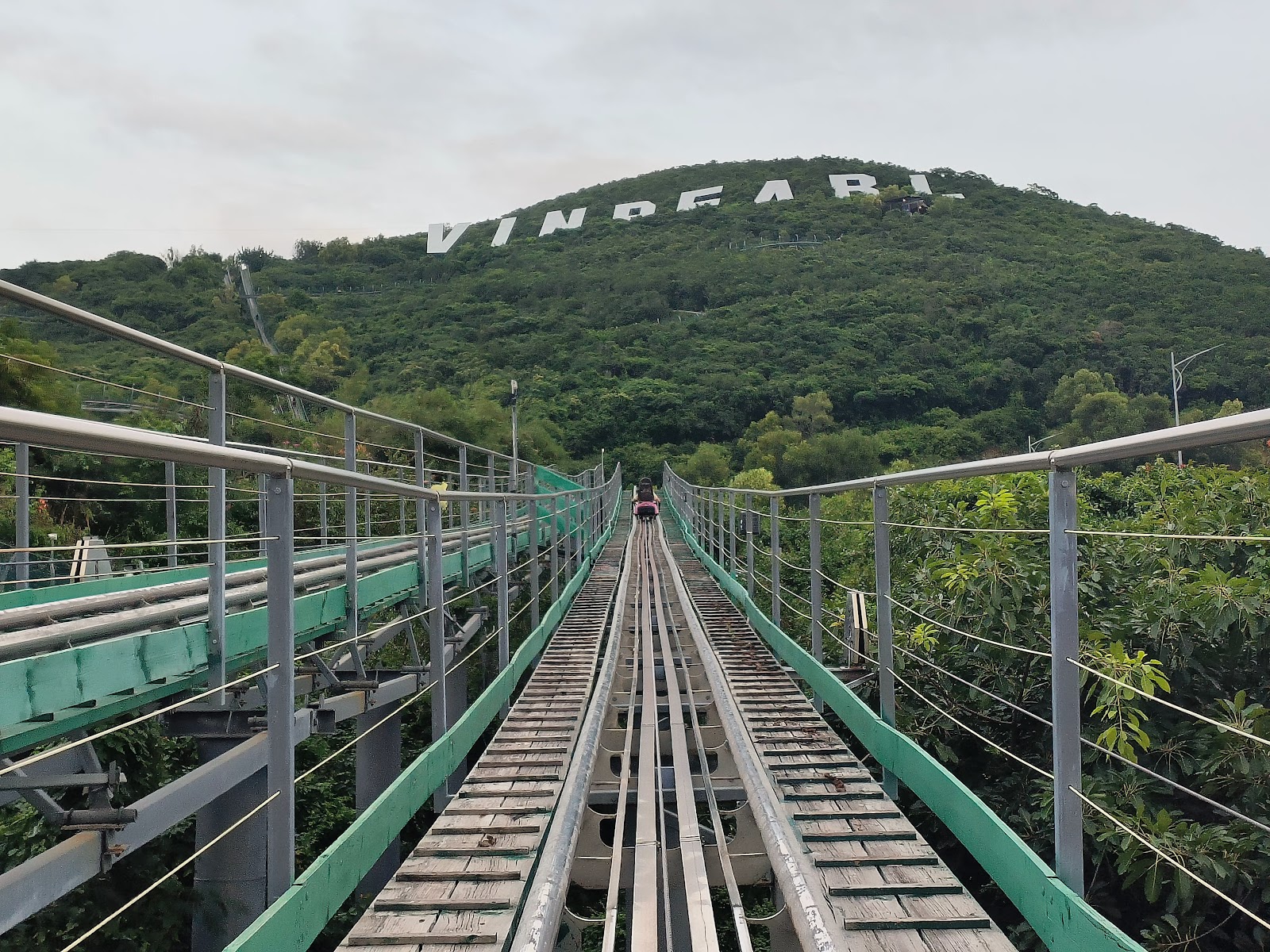 Alpine Coaster