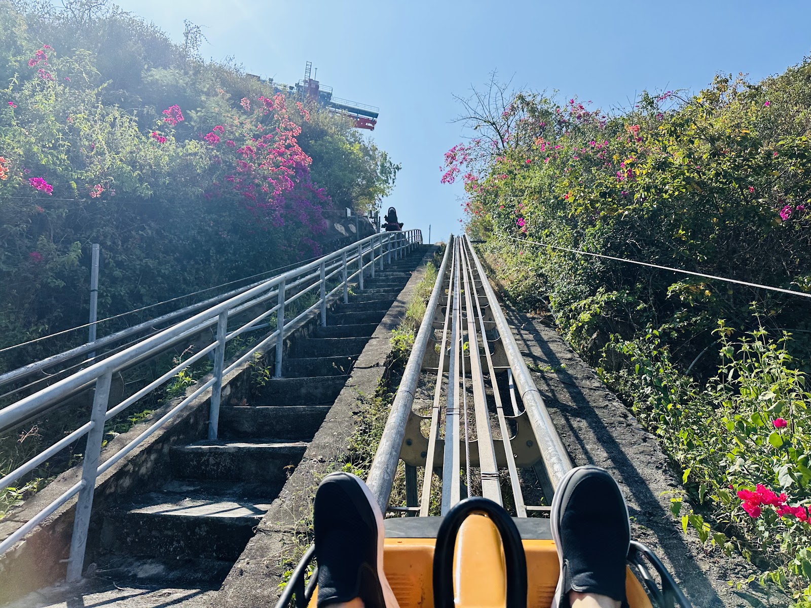 Alpine Coaster — Oficiais