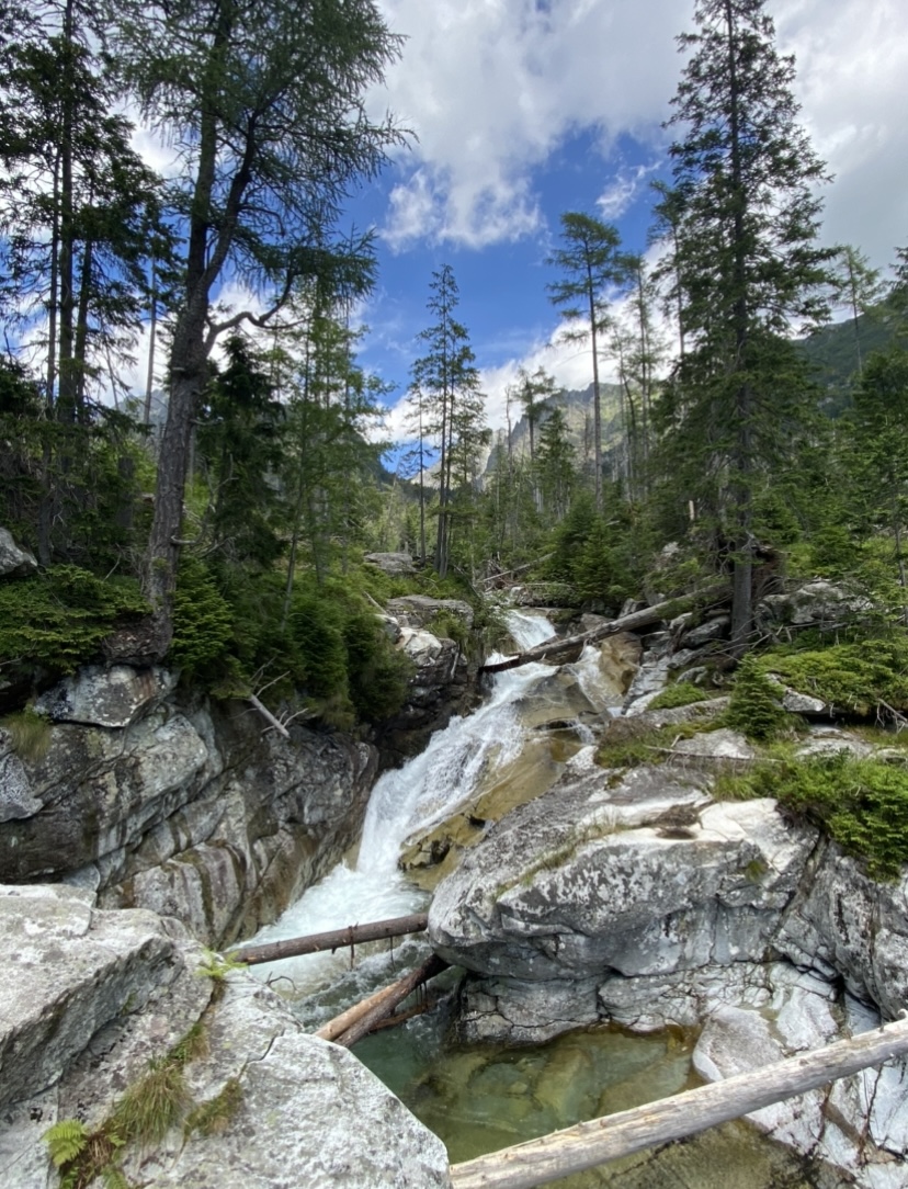 Alto Tatra — Oficiais