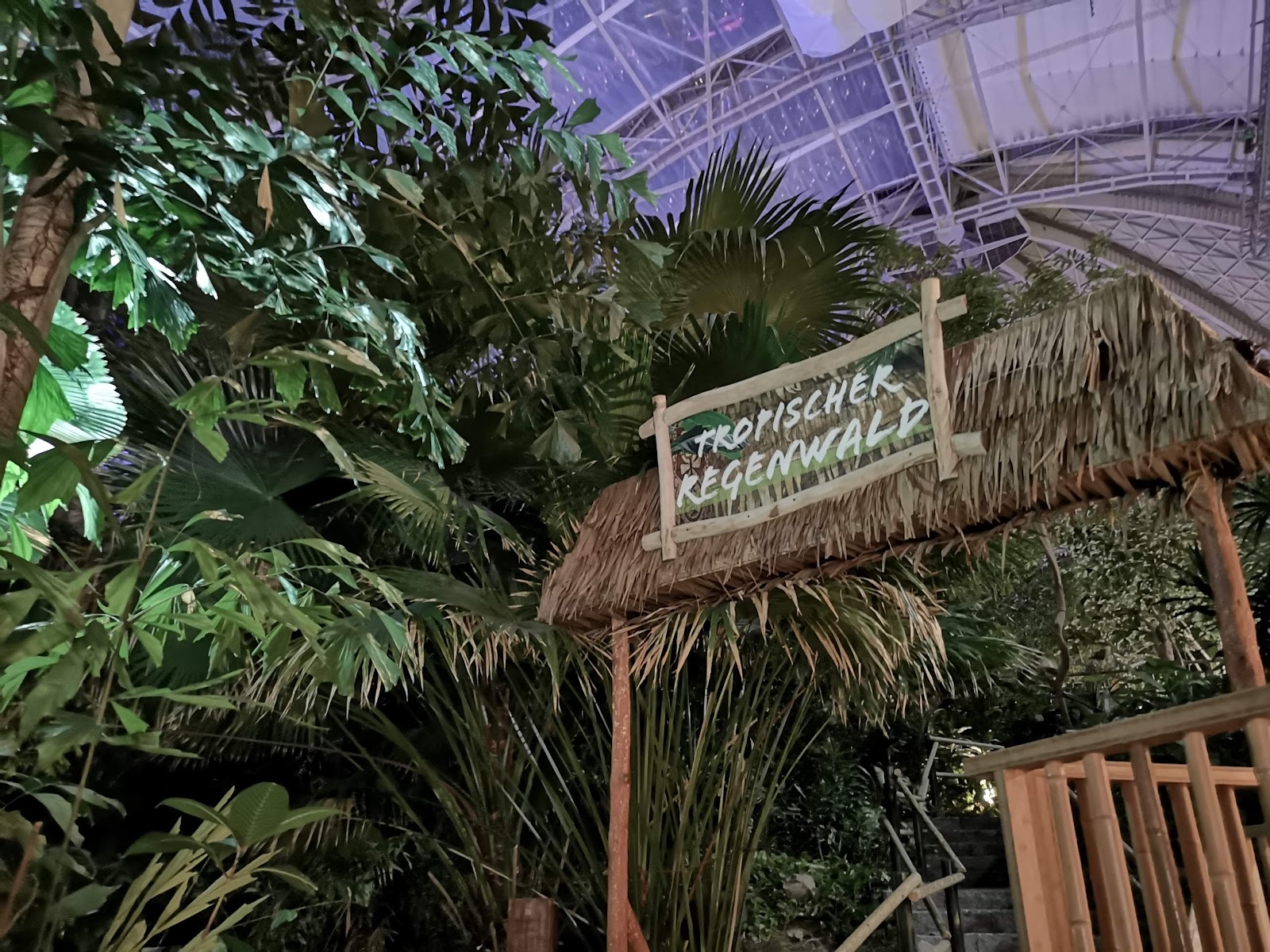 Amazonia — Oficiais
