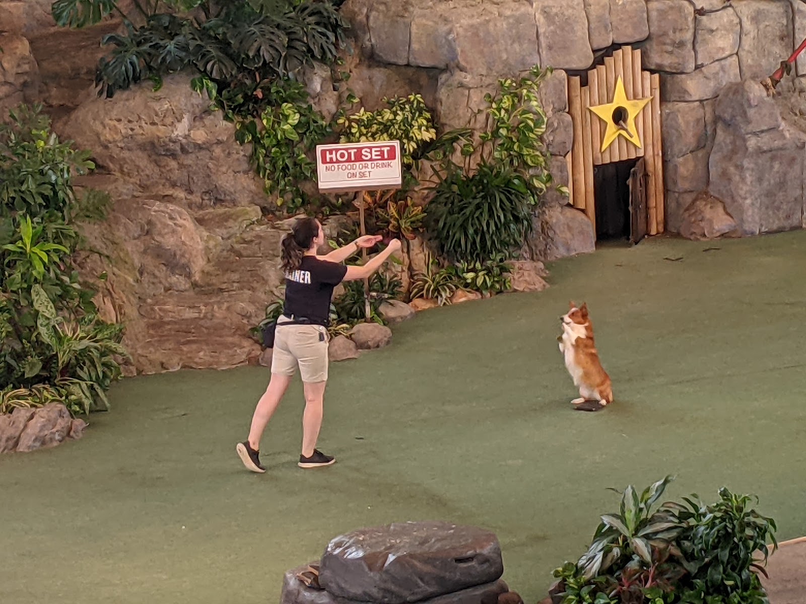 Animal Actors On Location! — Oficiais