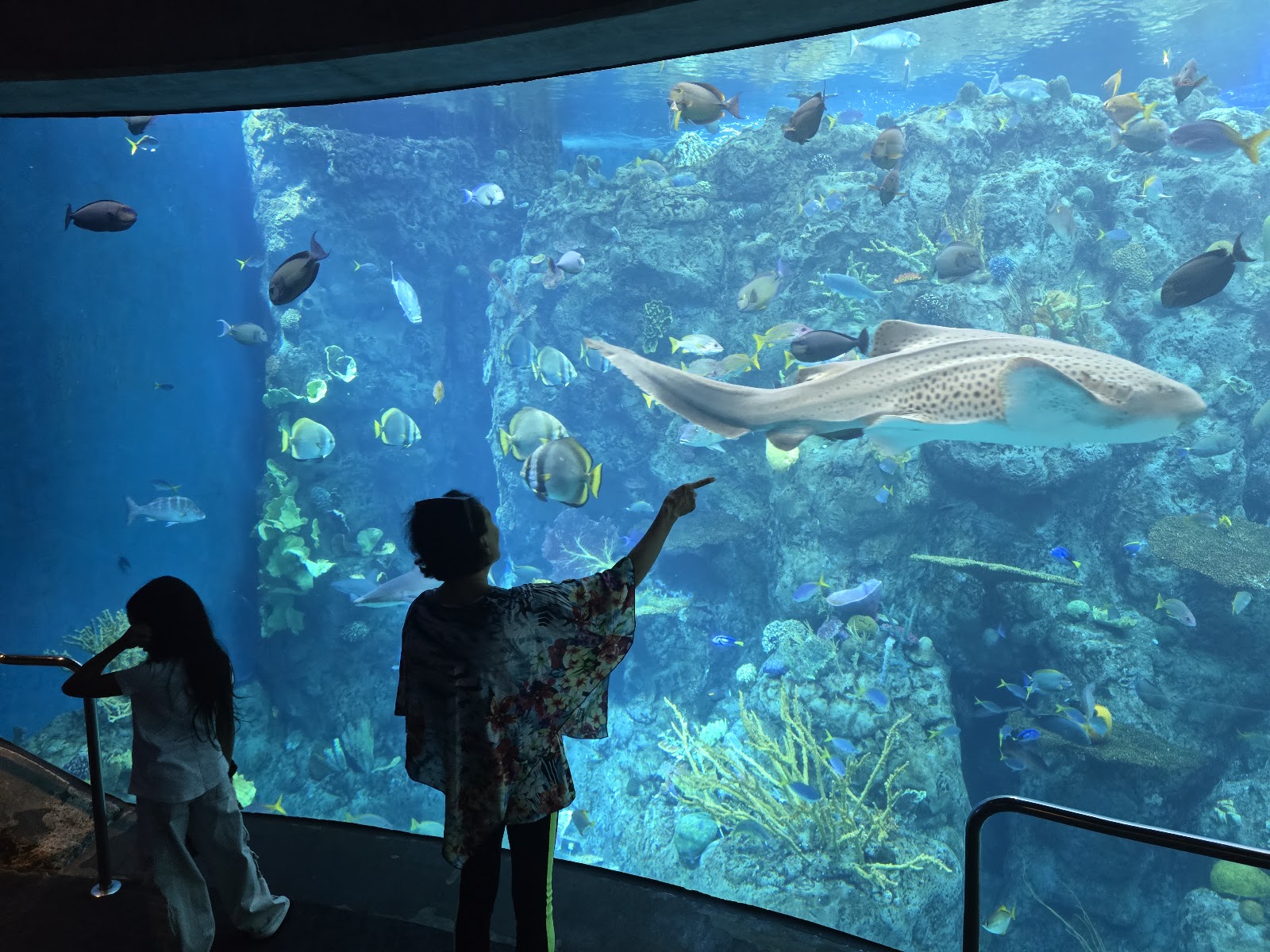 Aquarium of the Pacific — Oficiais