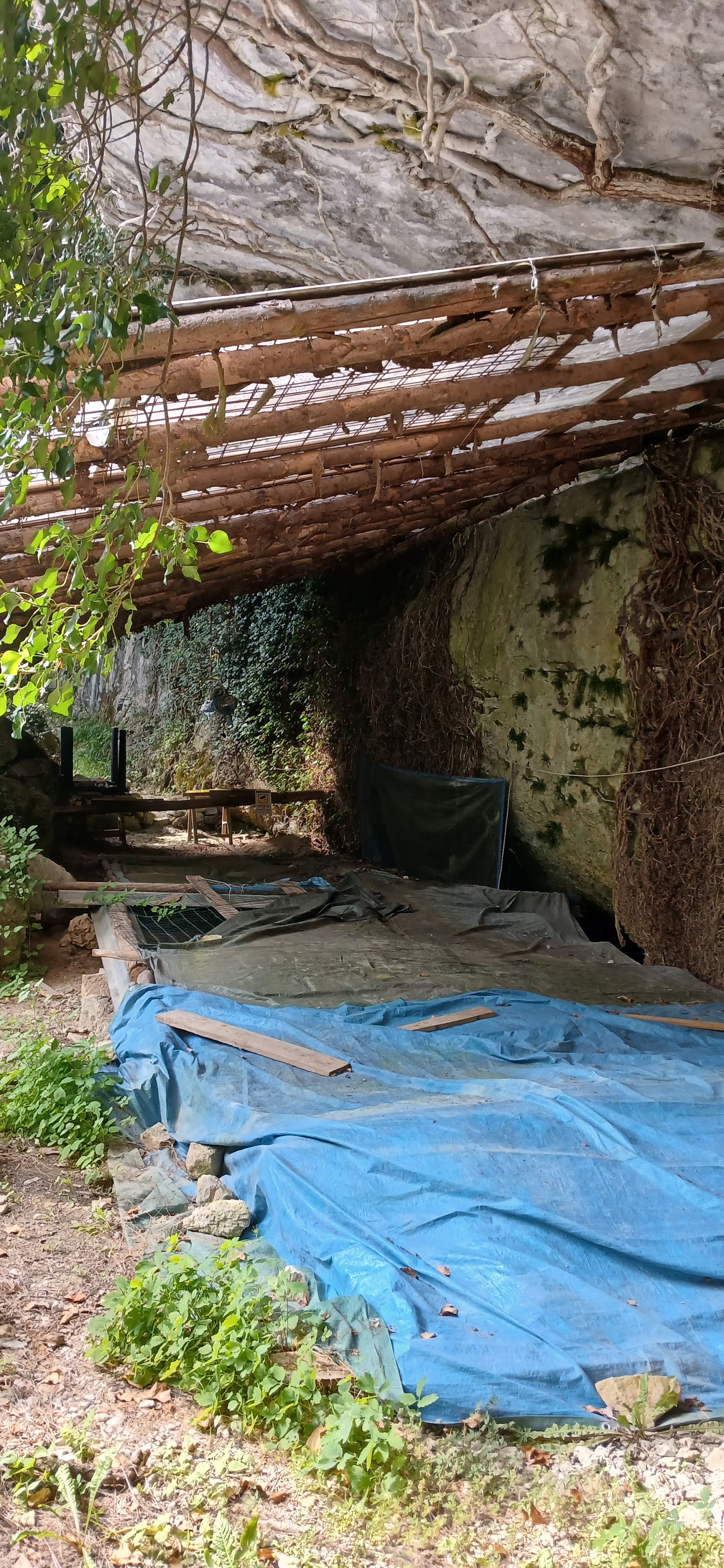 Area carsica del Rio Sciober — Oficiais