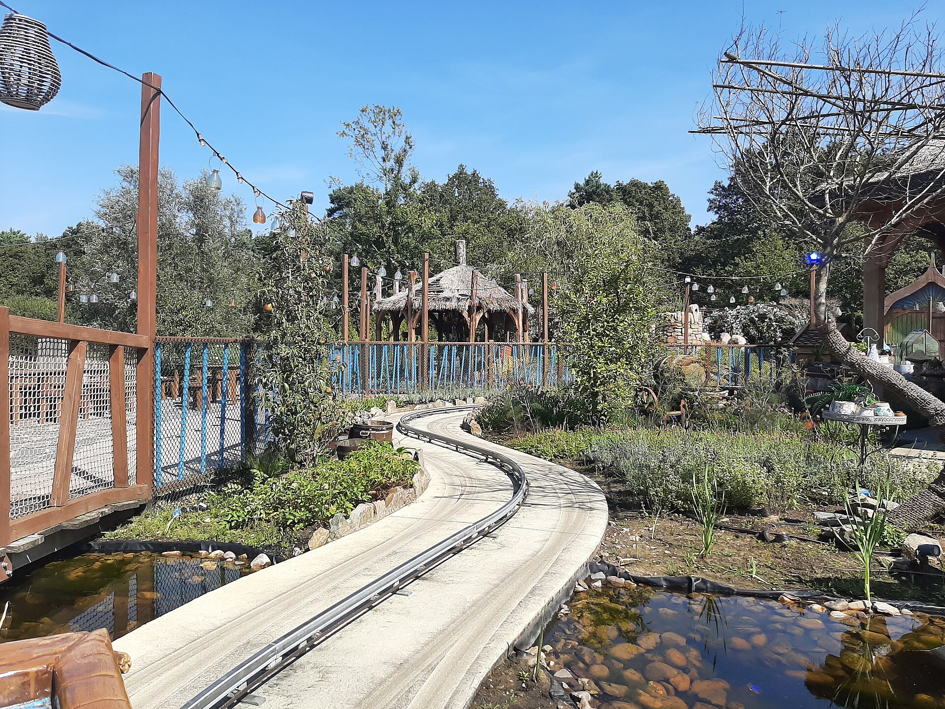 Arthur’s Tournament Training
