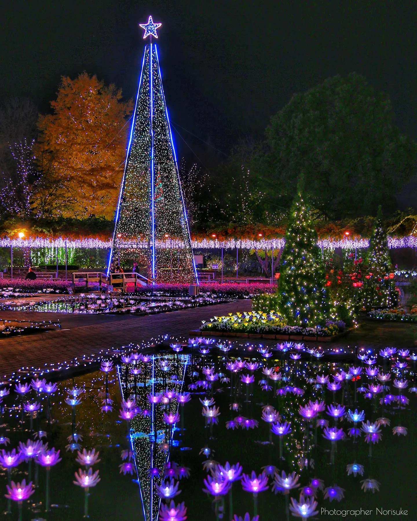 Ashikaga Flower Park — Oficiais