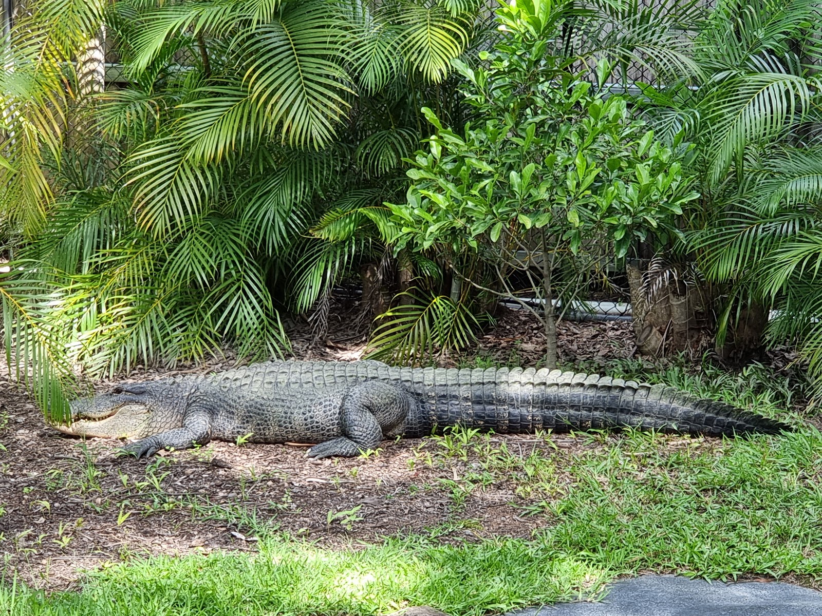 Australia Zoo — Oficiais