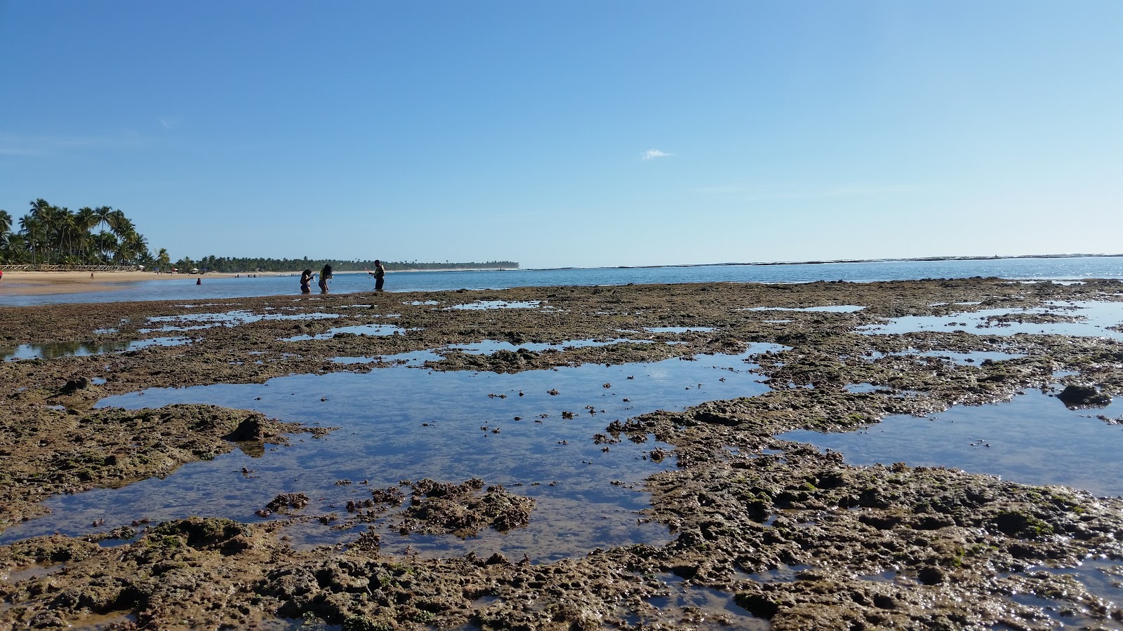 Banco de areia de Taipu de Fora — Oficiais