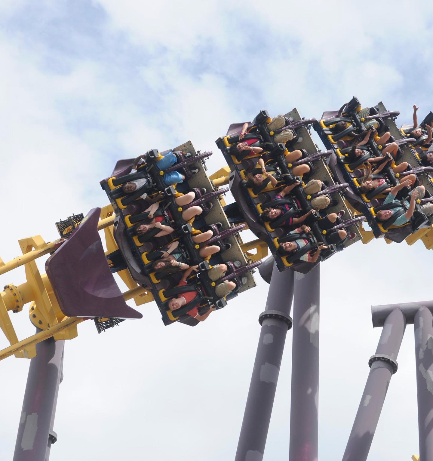 BATWING Coaster