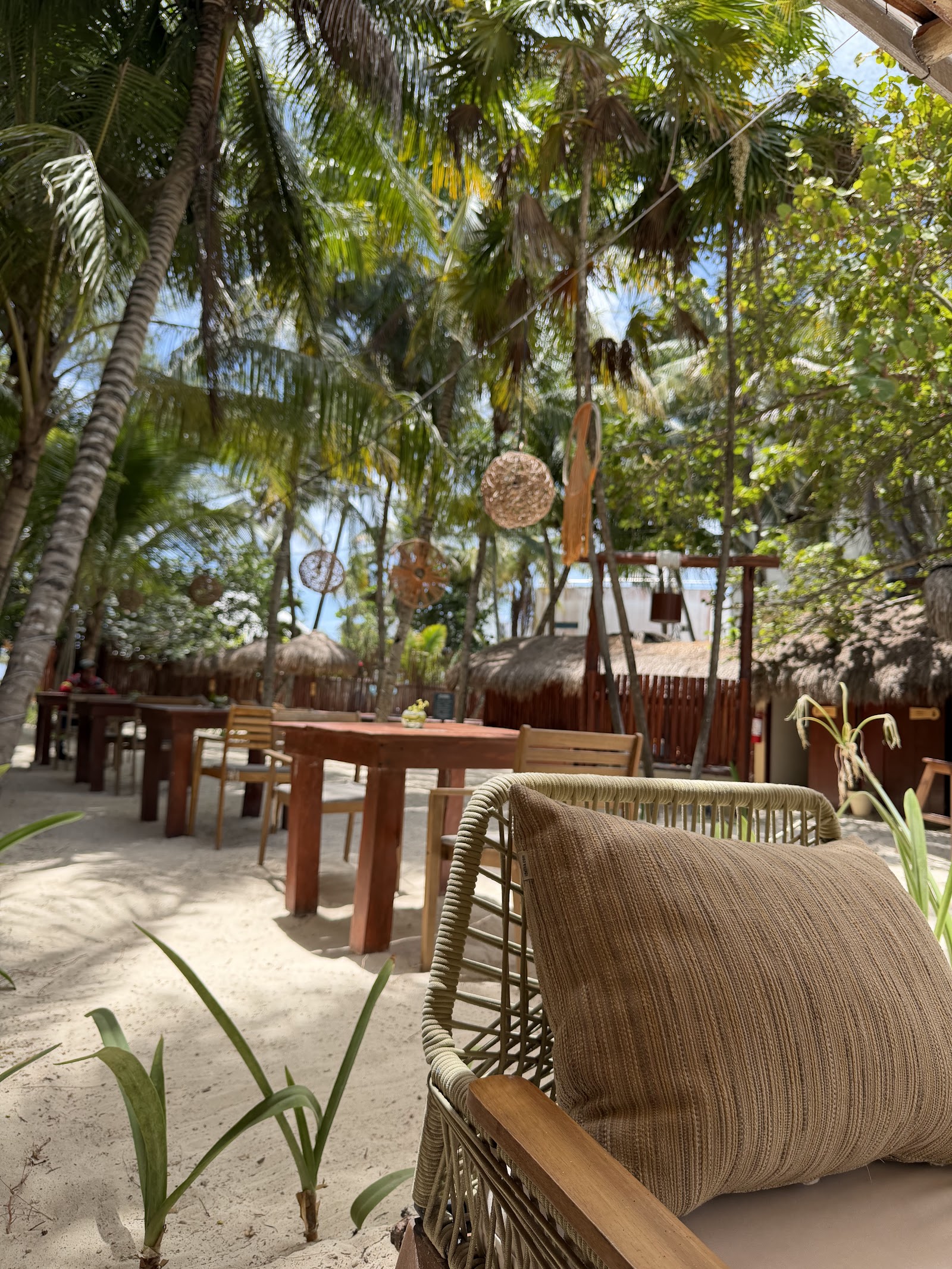 Beach Club — Oficiais