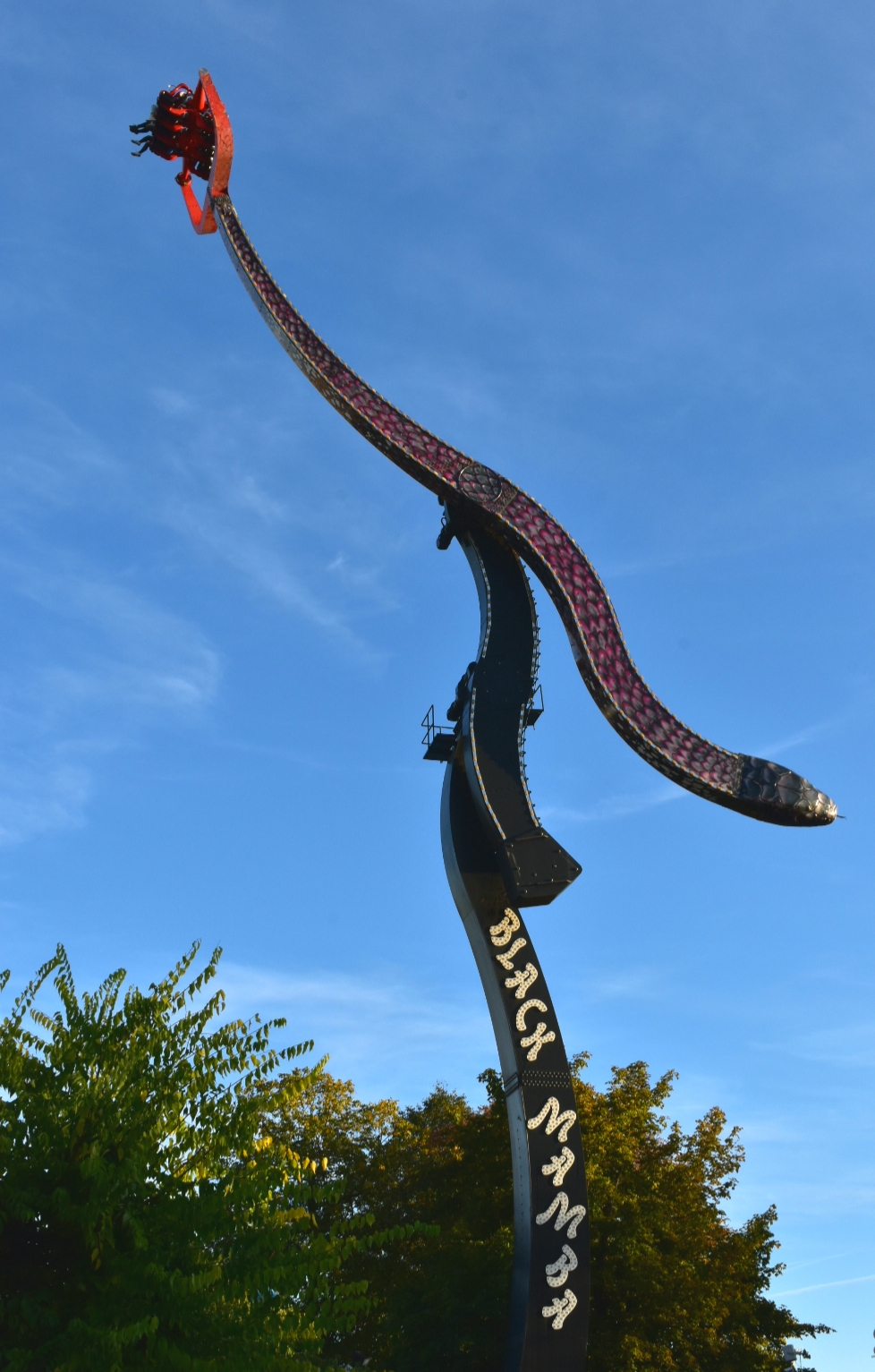 Black Mamba