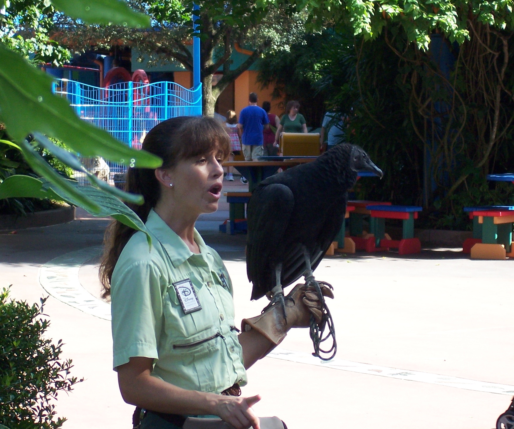Bluey's Wild World at Conservation Station