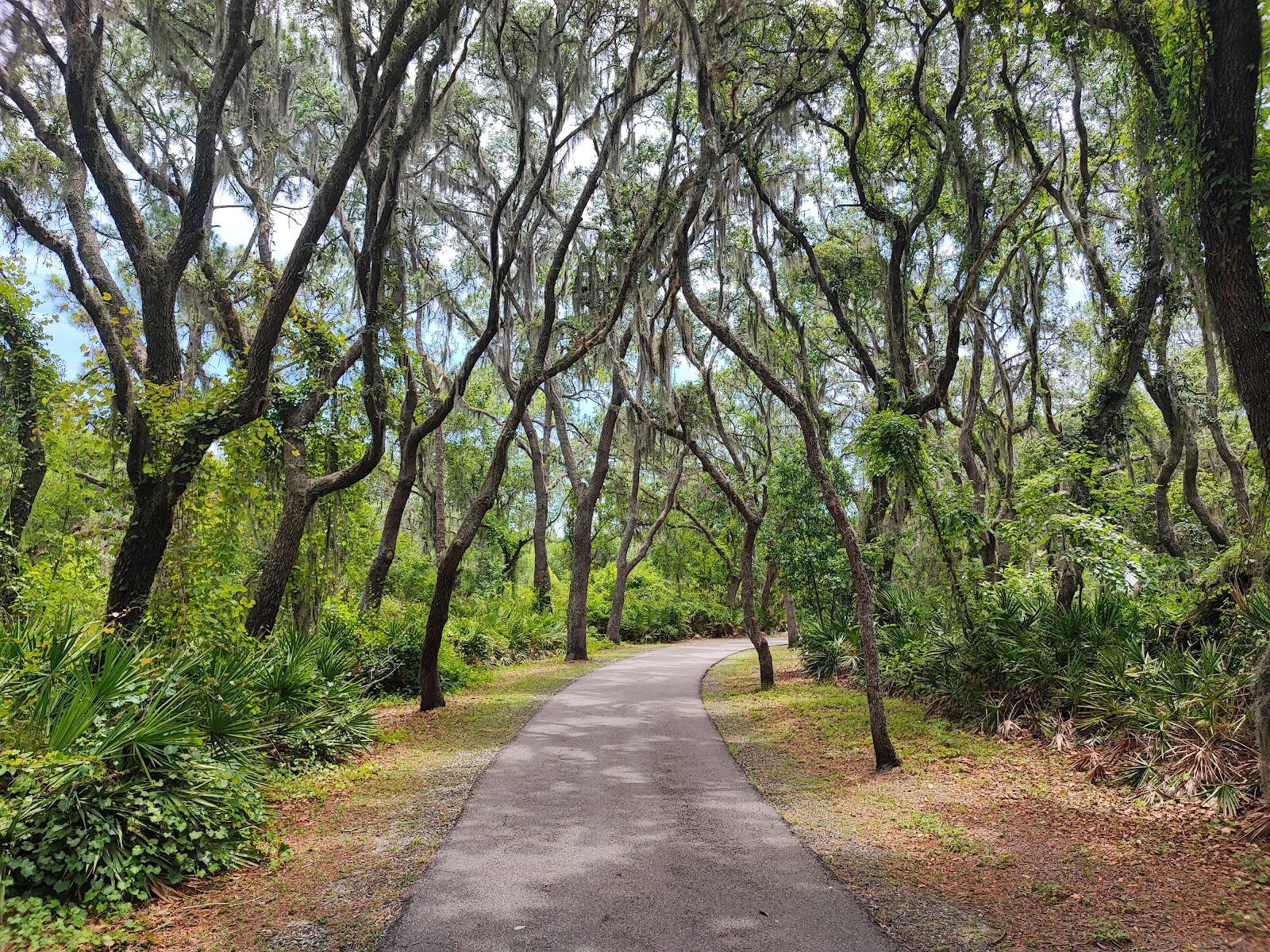 Boardwalk sobre áreas alagadas — Oficiais