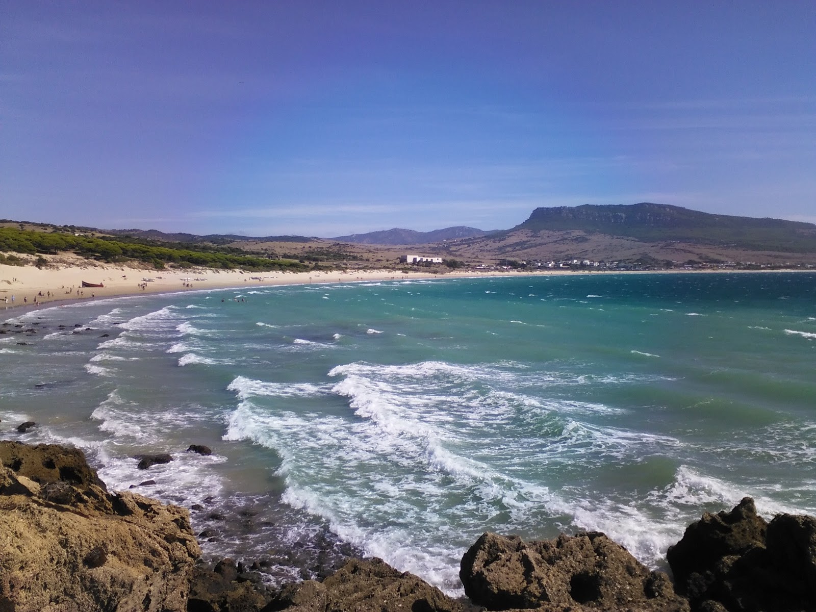 Bolonia