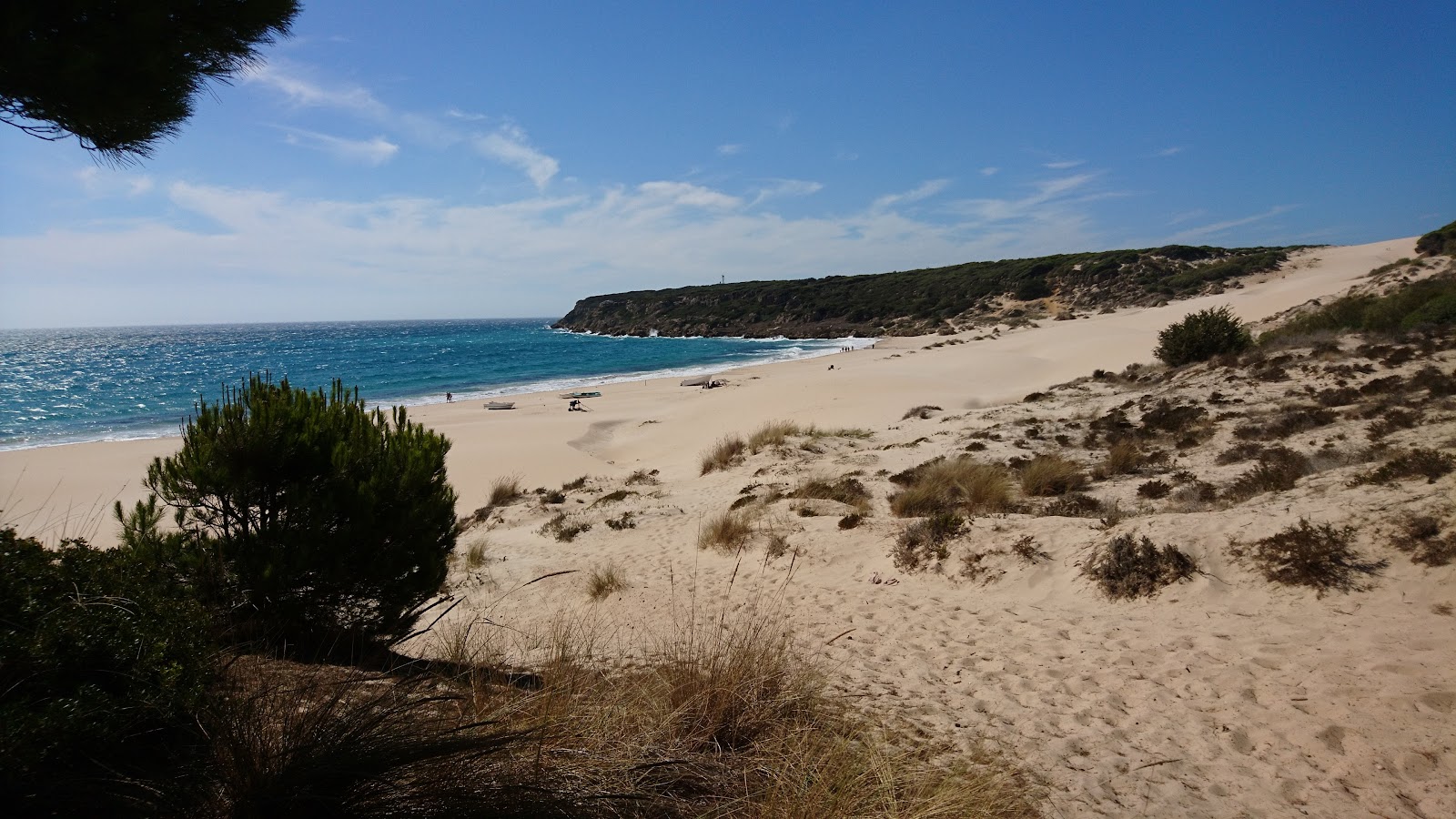 Bolonia — Oficiais