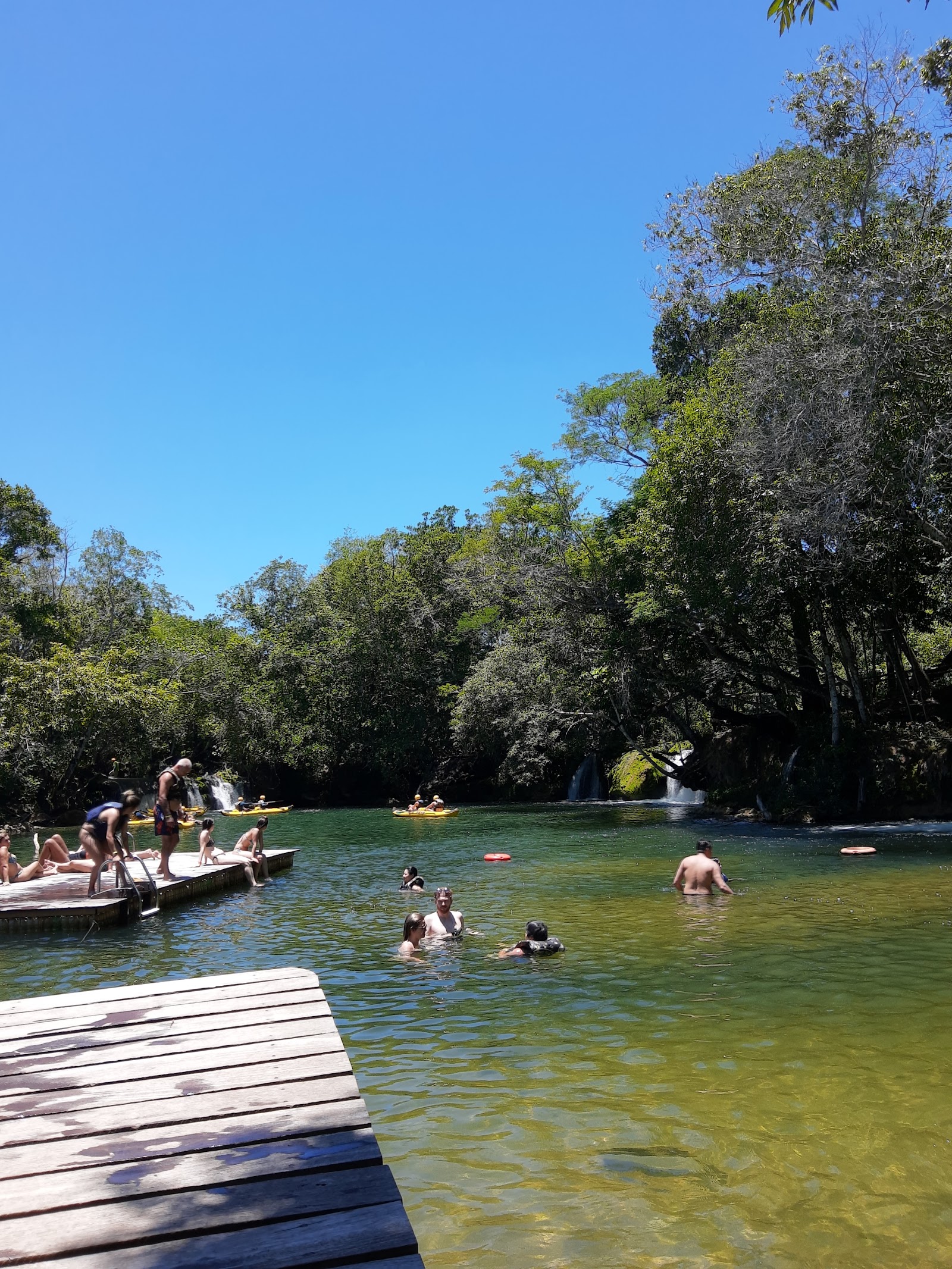 Bonito — Oficiais