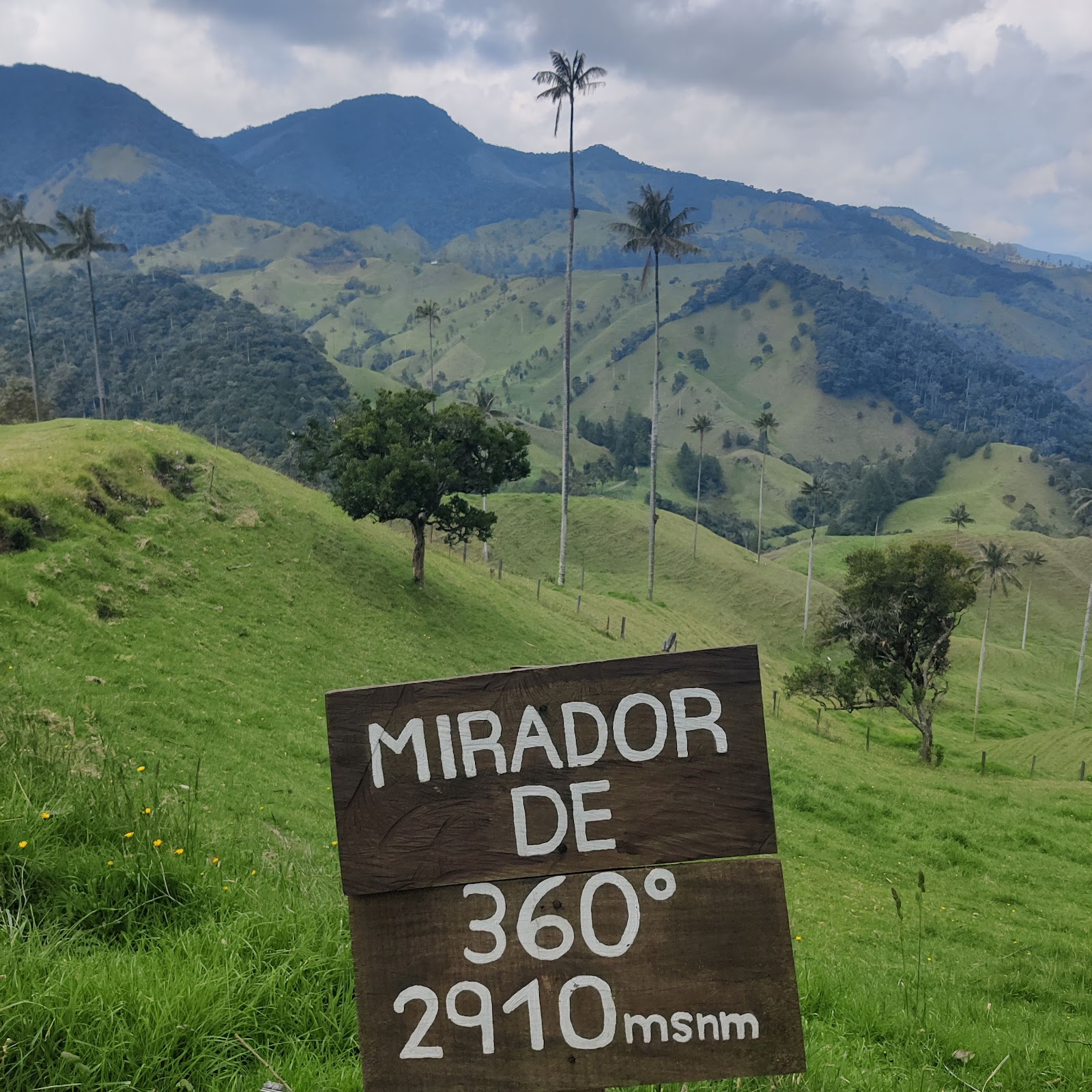 Bosque de Palmas de Cera "La Samaria" — Oficiais