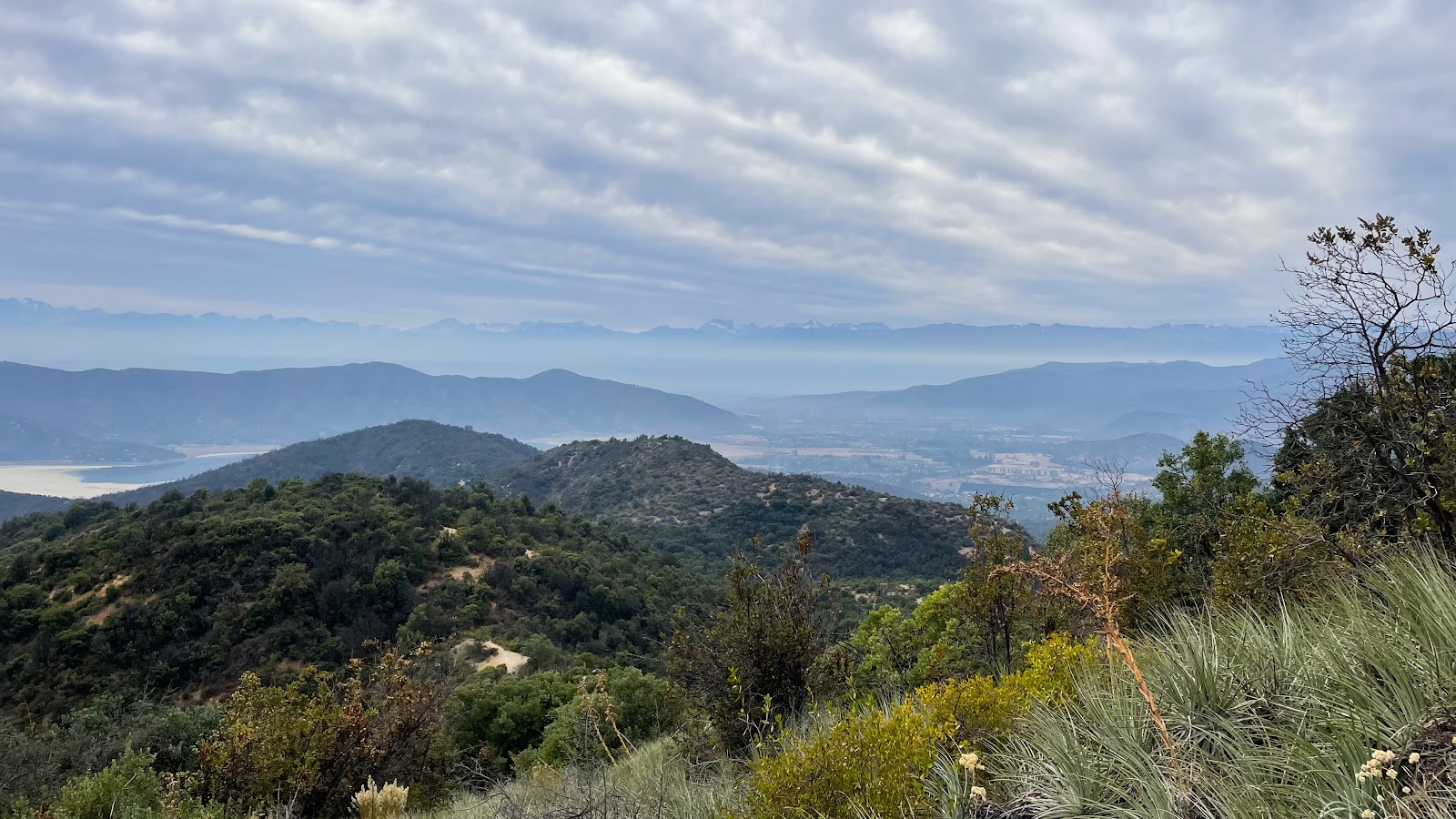 Bosque esclerófilo de la Cordillera de la Costa — Oficiais