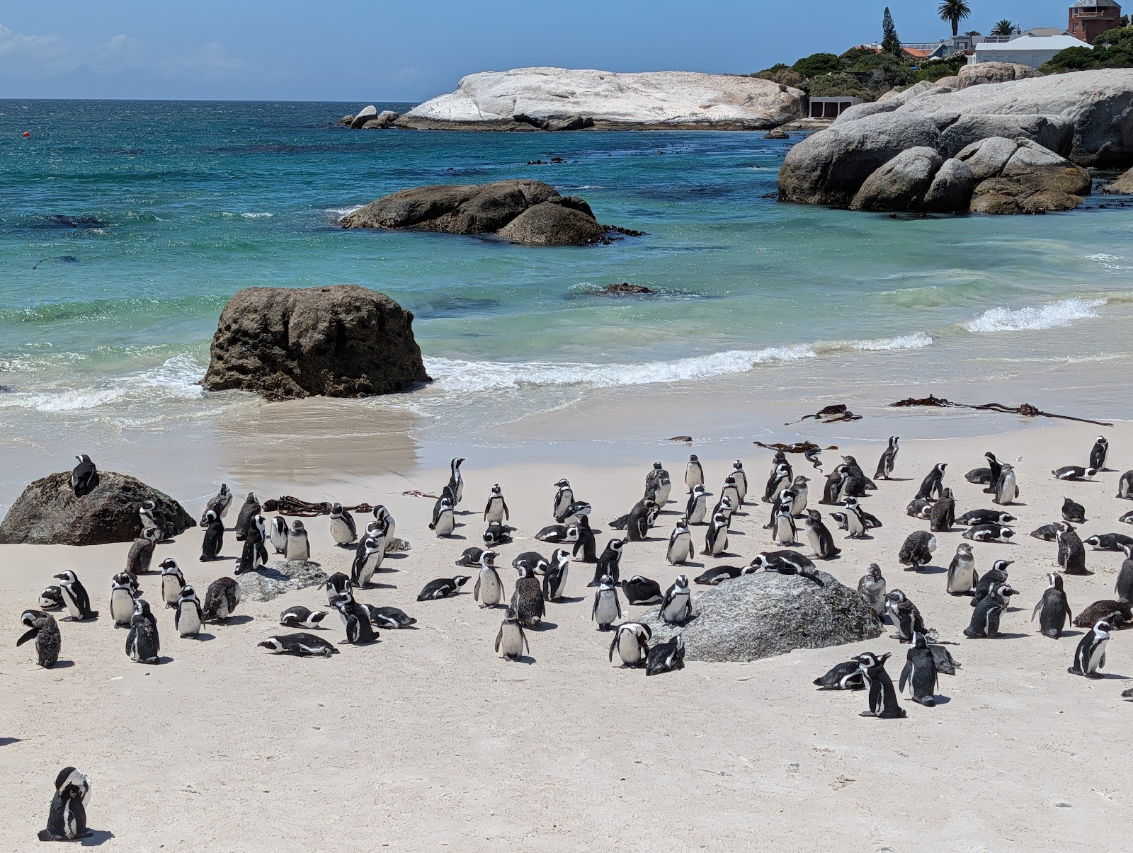 Boulders Beach — Oficiais