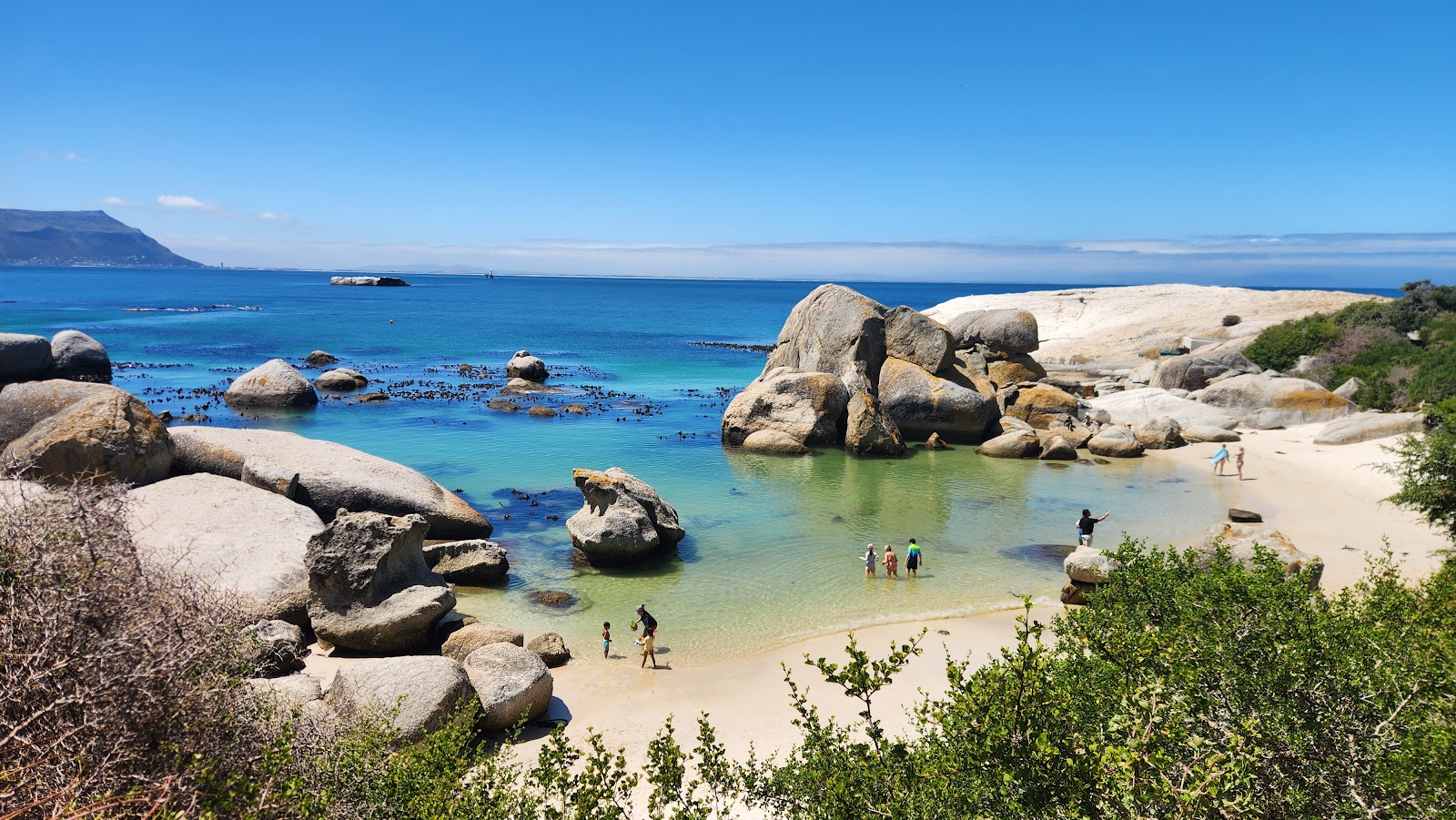 Boulders Beach — Oficiais