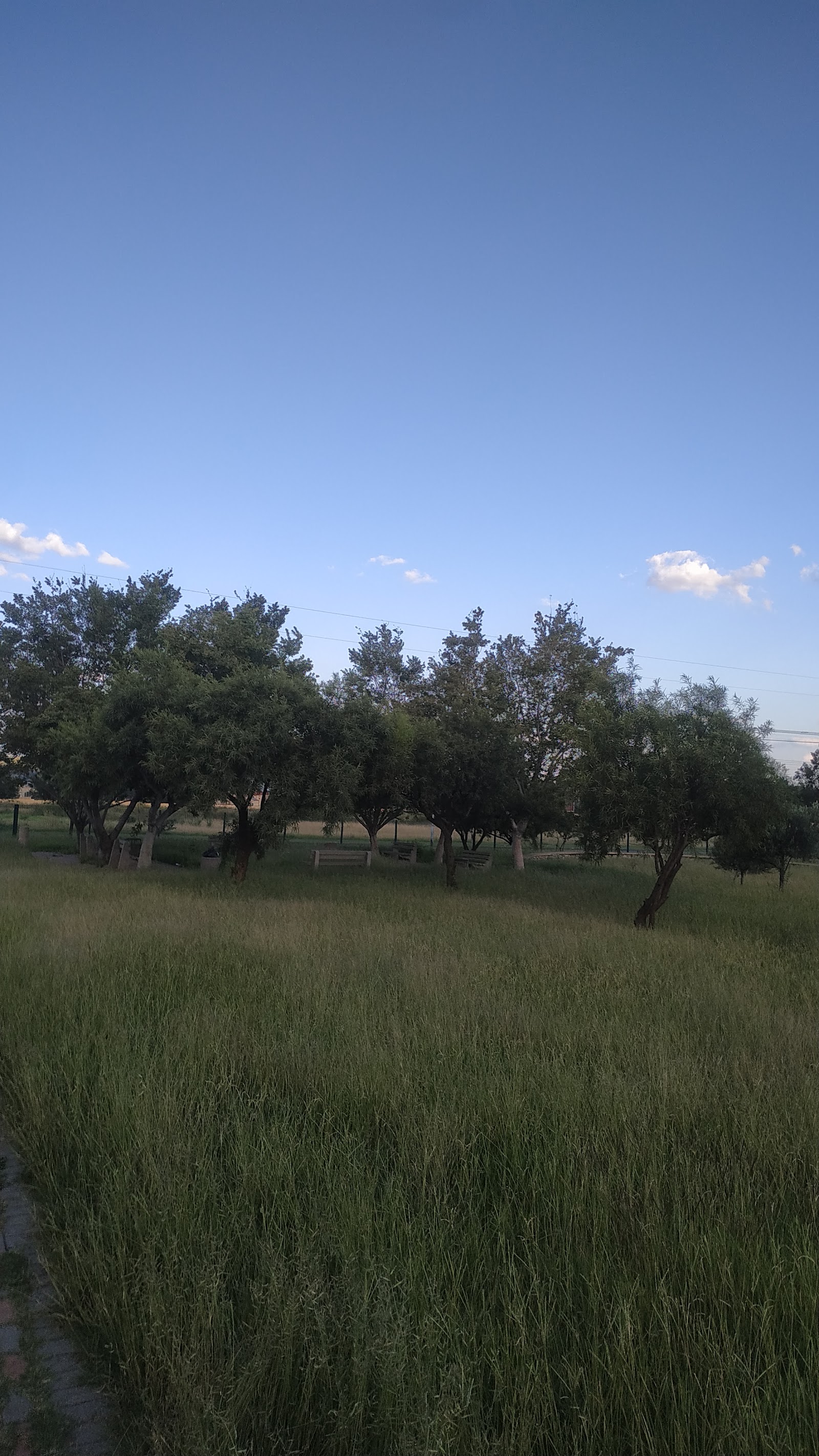 Braai Area — Oficiais
