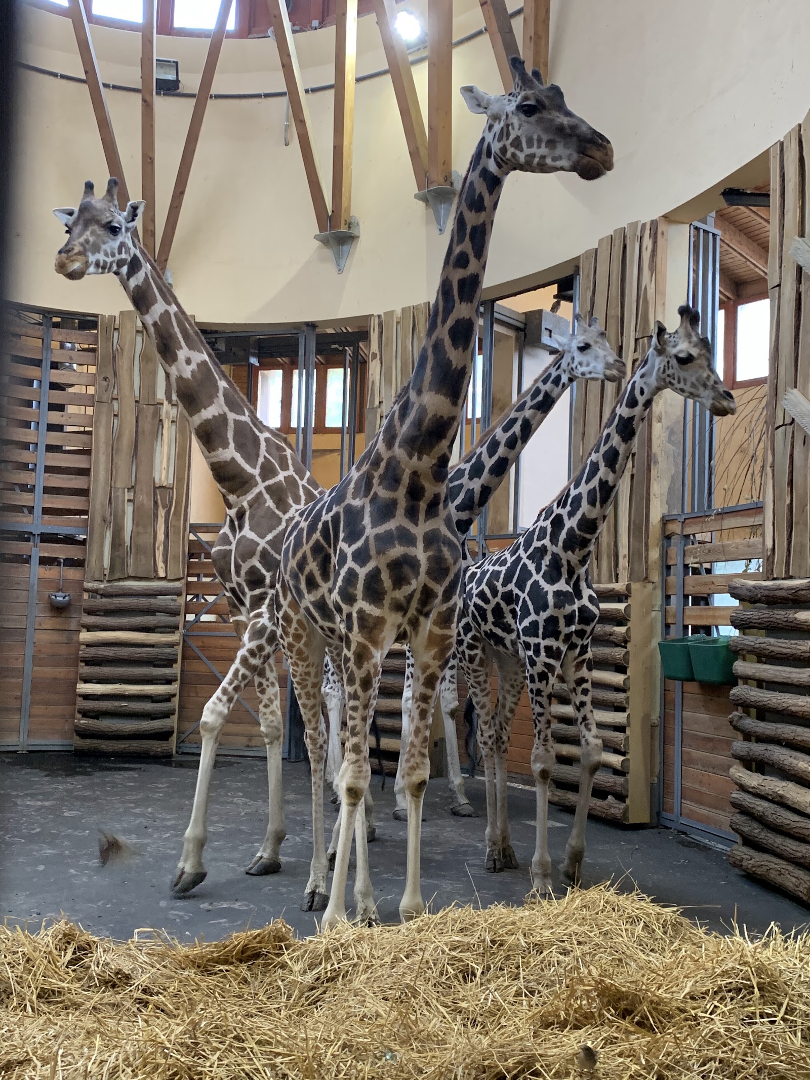 Budapest Zoo & Botanical Garden — Oficiais
