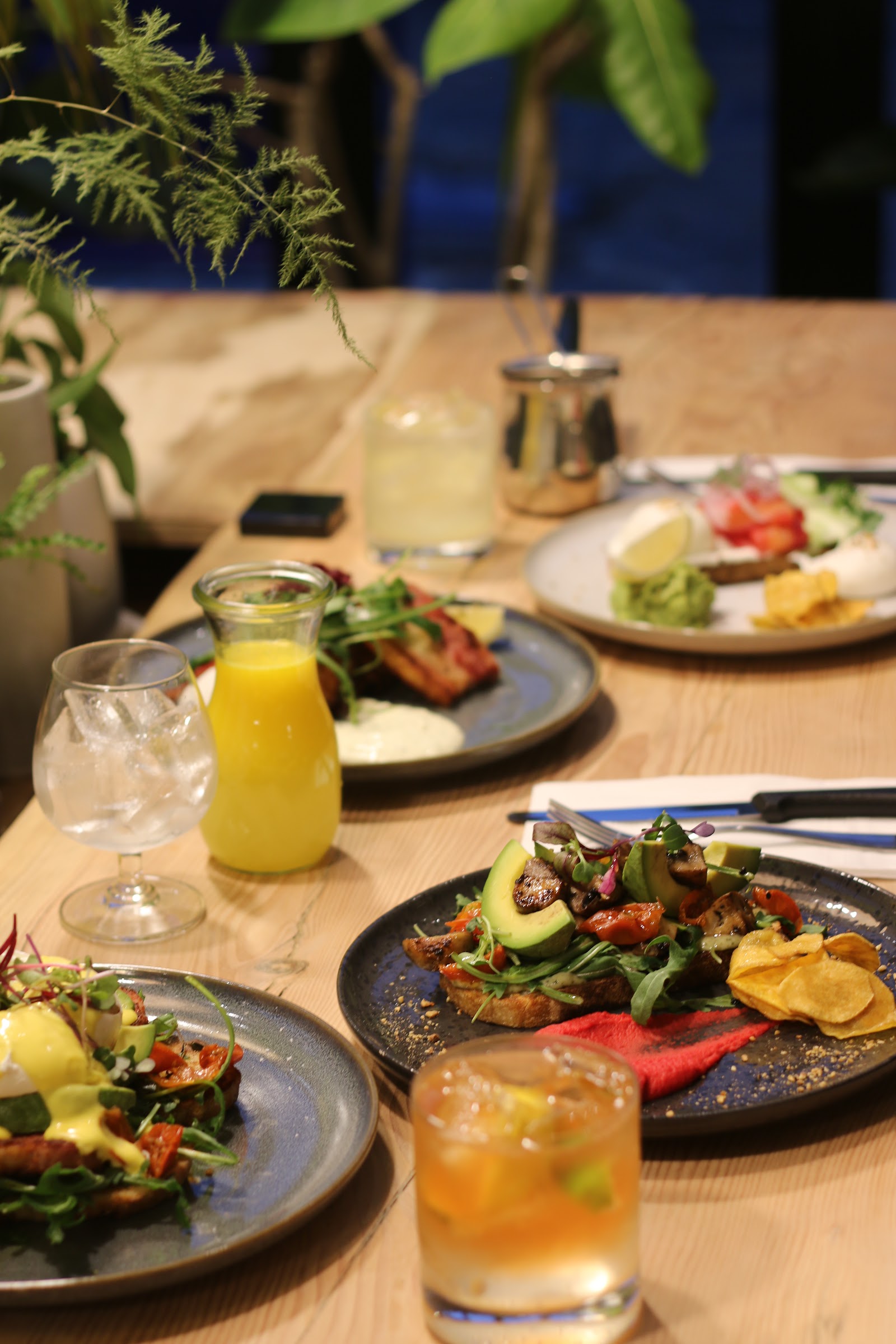 Burger Cafe — Oficiais