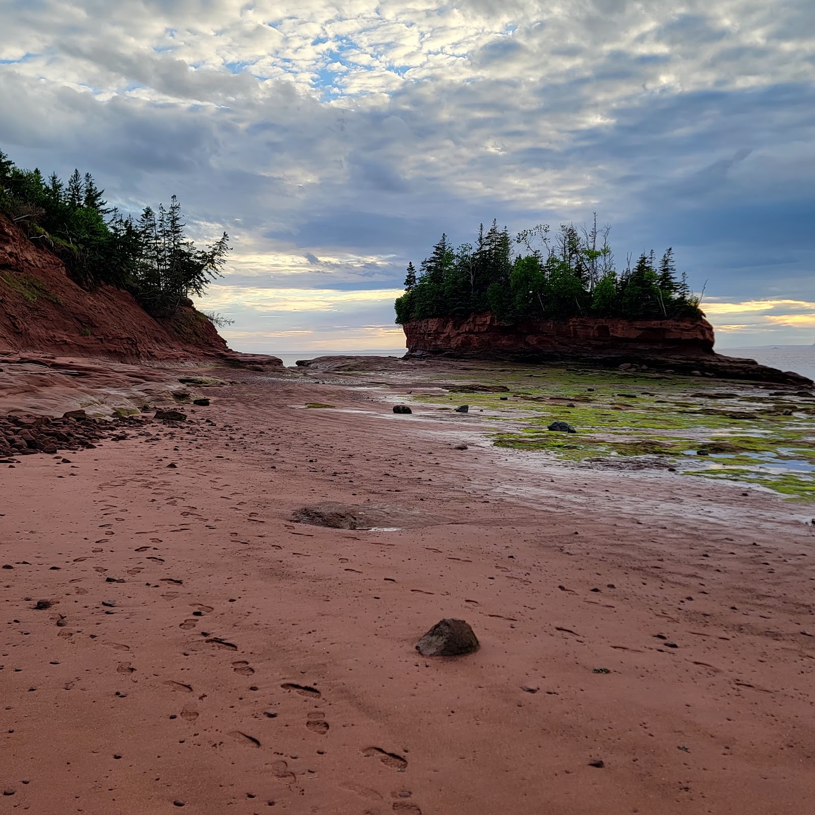 Burntcoat Head Park — Oficiais