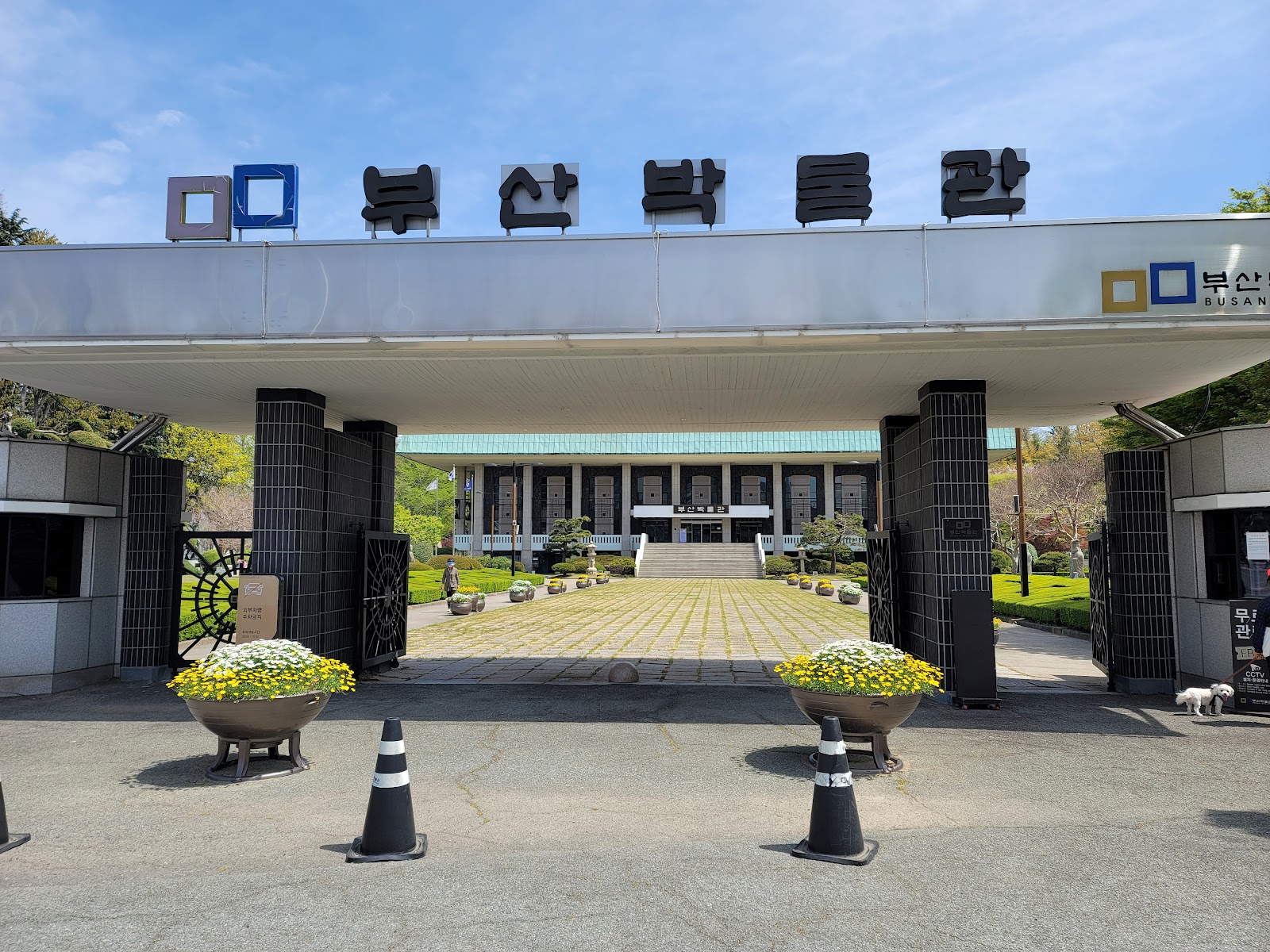 Busan Museum — Oficiais