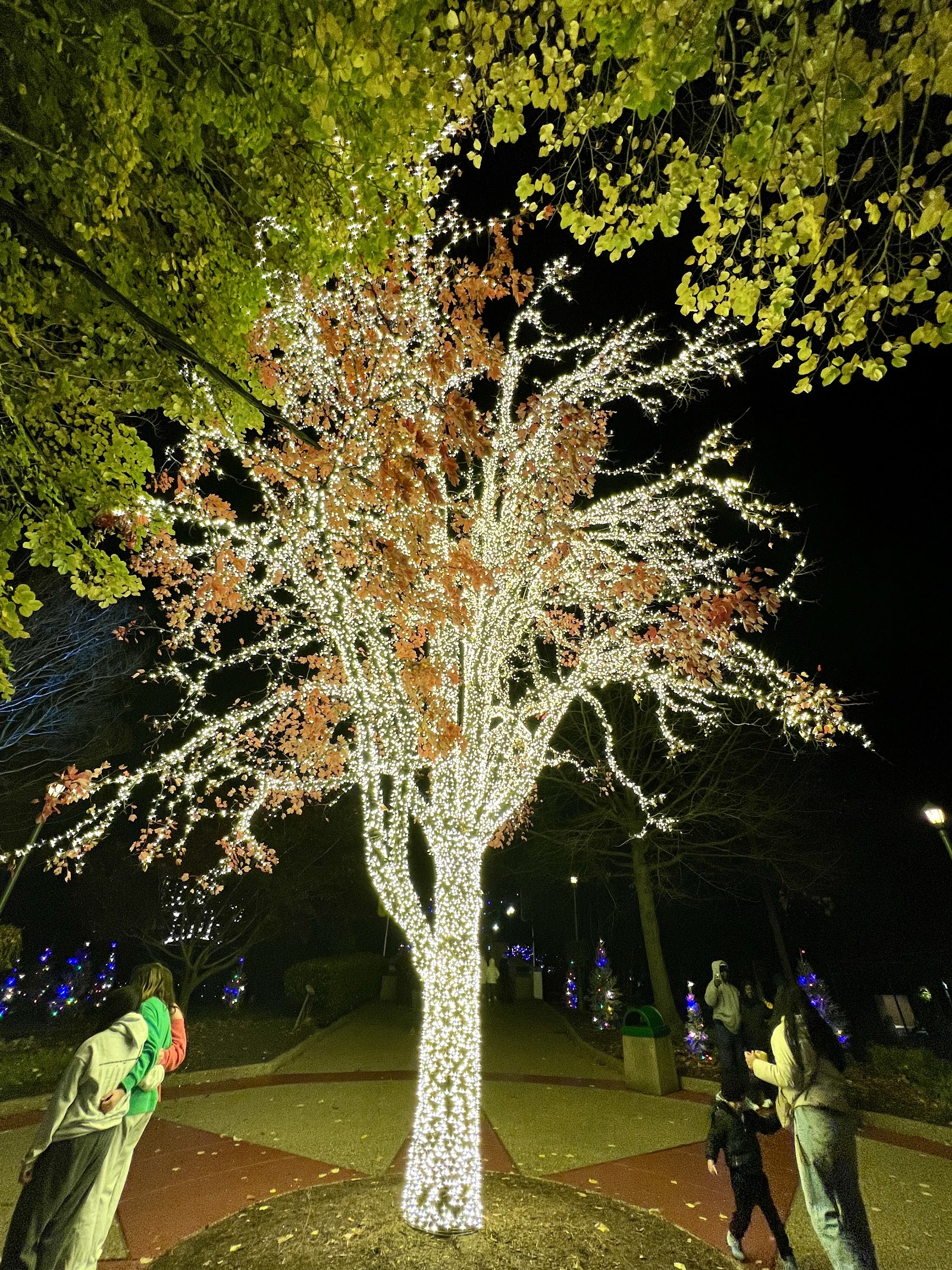Busch Gardens Williamsburg — Oficiais