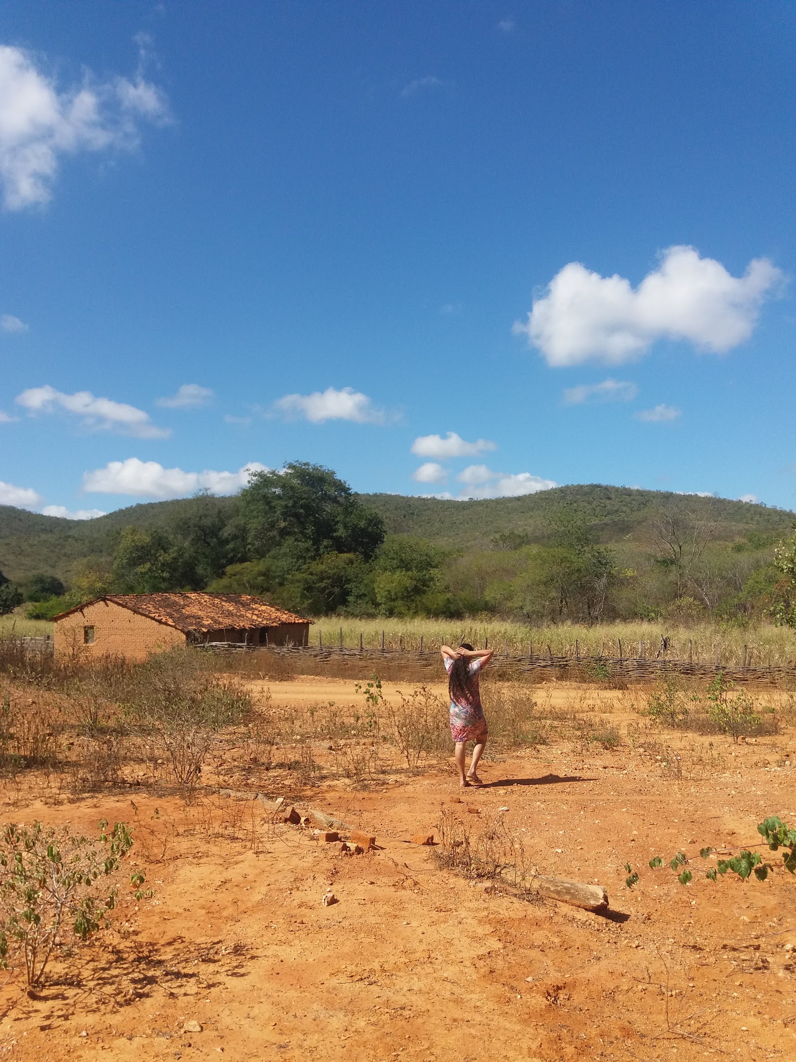 Caatinga preservada da Estação Ecológica de Aiuaba — Oficiais