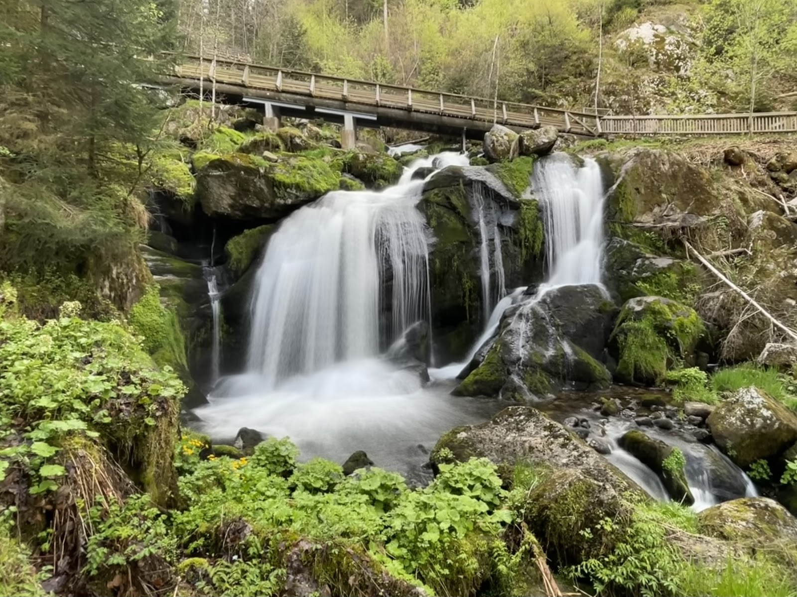 Cascatas de Triberg — Oficiais