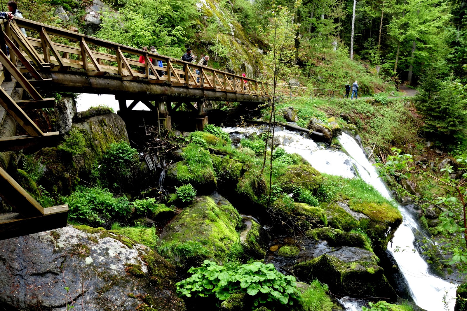 Cascatas de Triberg — Oficiais