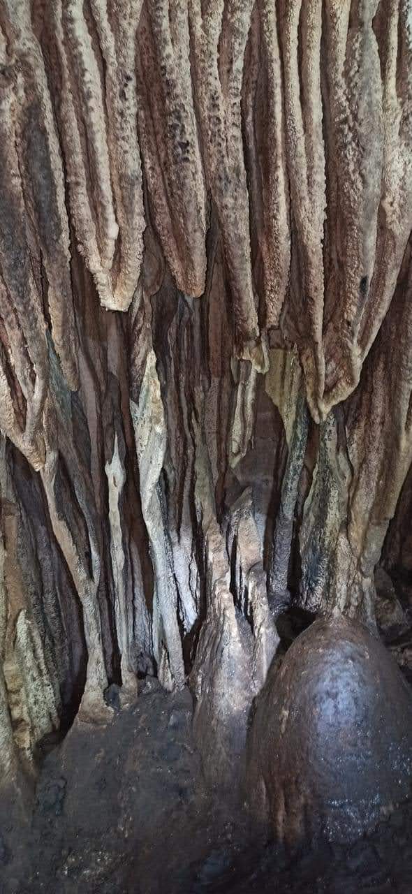 Cavernas del río Nus — Oficiais