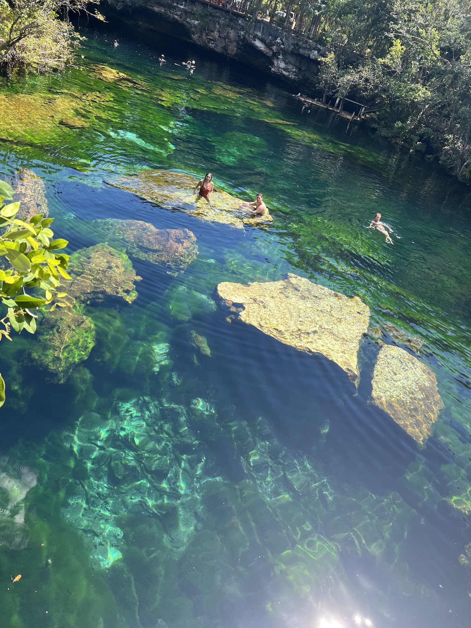 Cenote Jardín Del Eden — Oficiais
