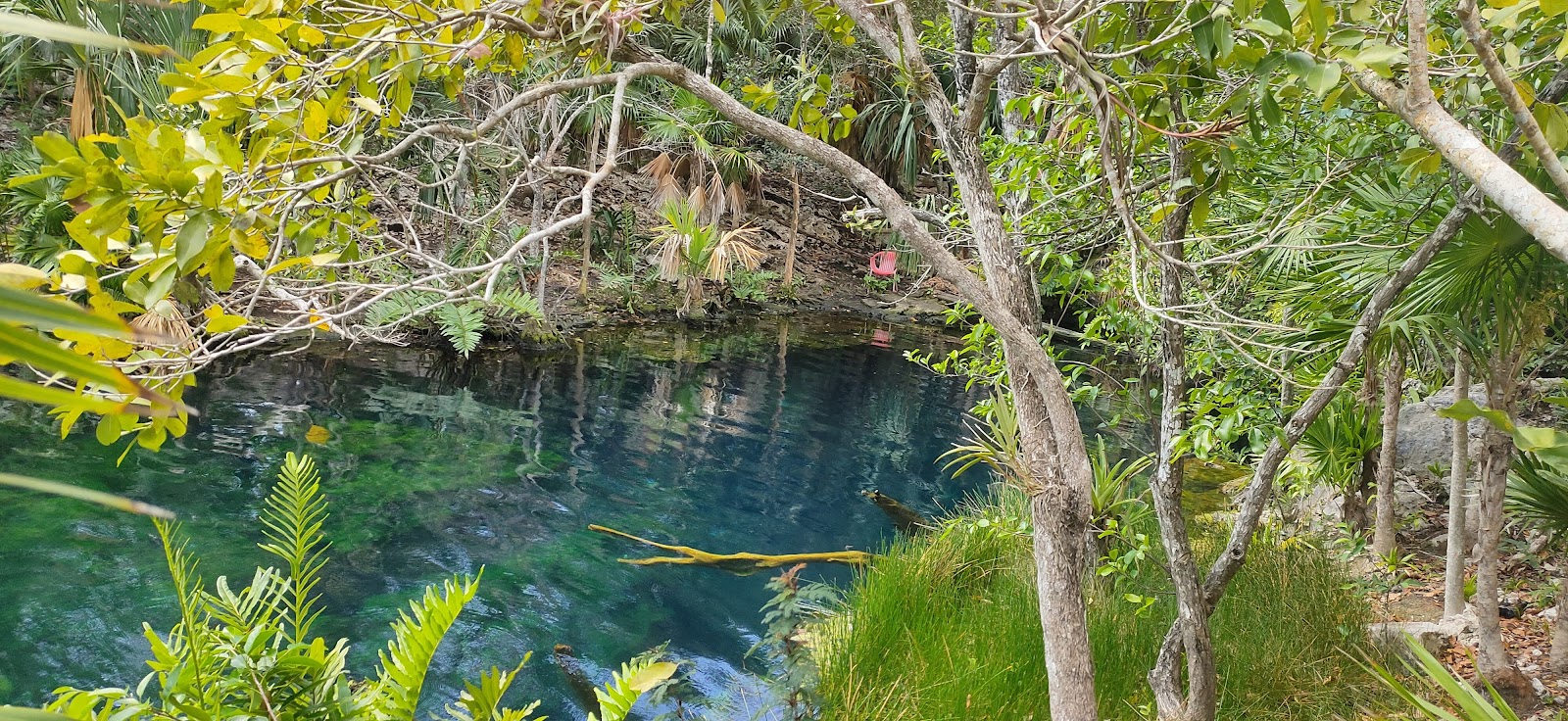 Cenote Jardín Del Eden — Oficiais
