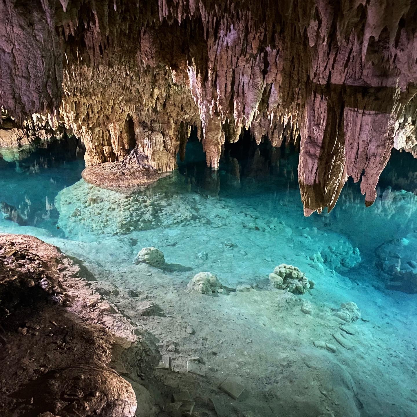Cenotes Sac Actún
