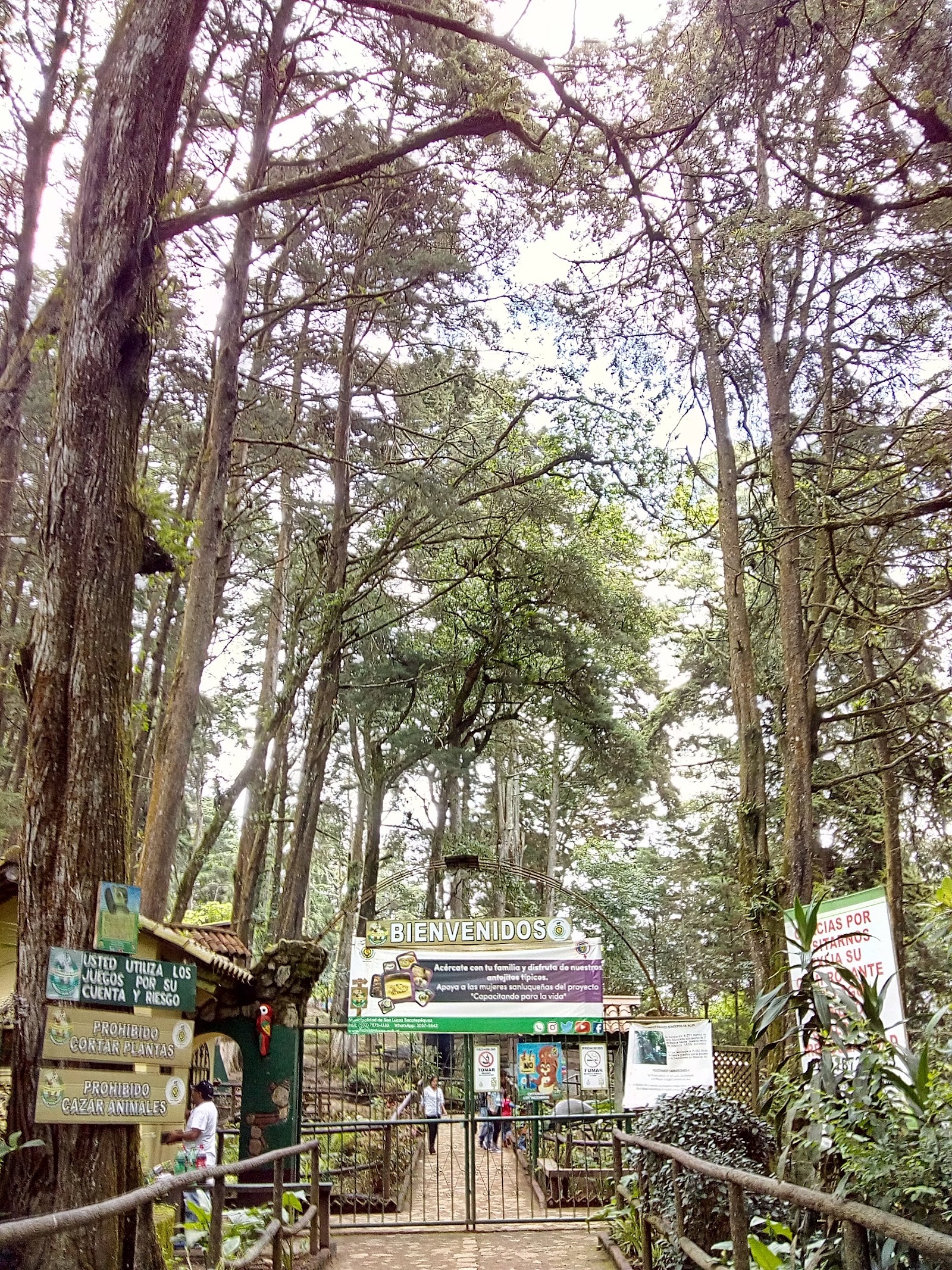Cerro Alux — Oficiais