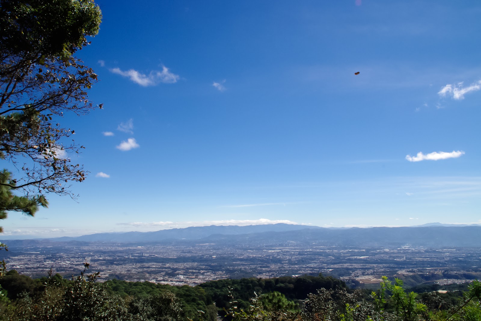 Cerro Alux — Oficiais