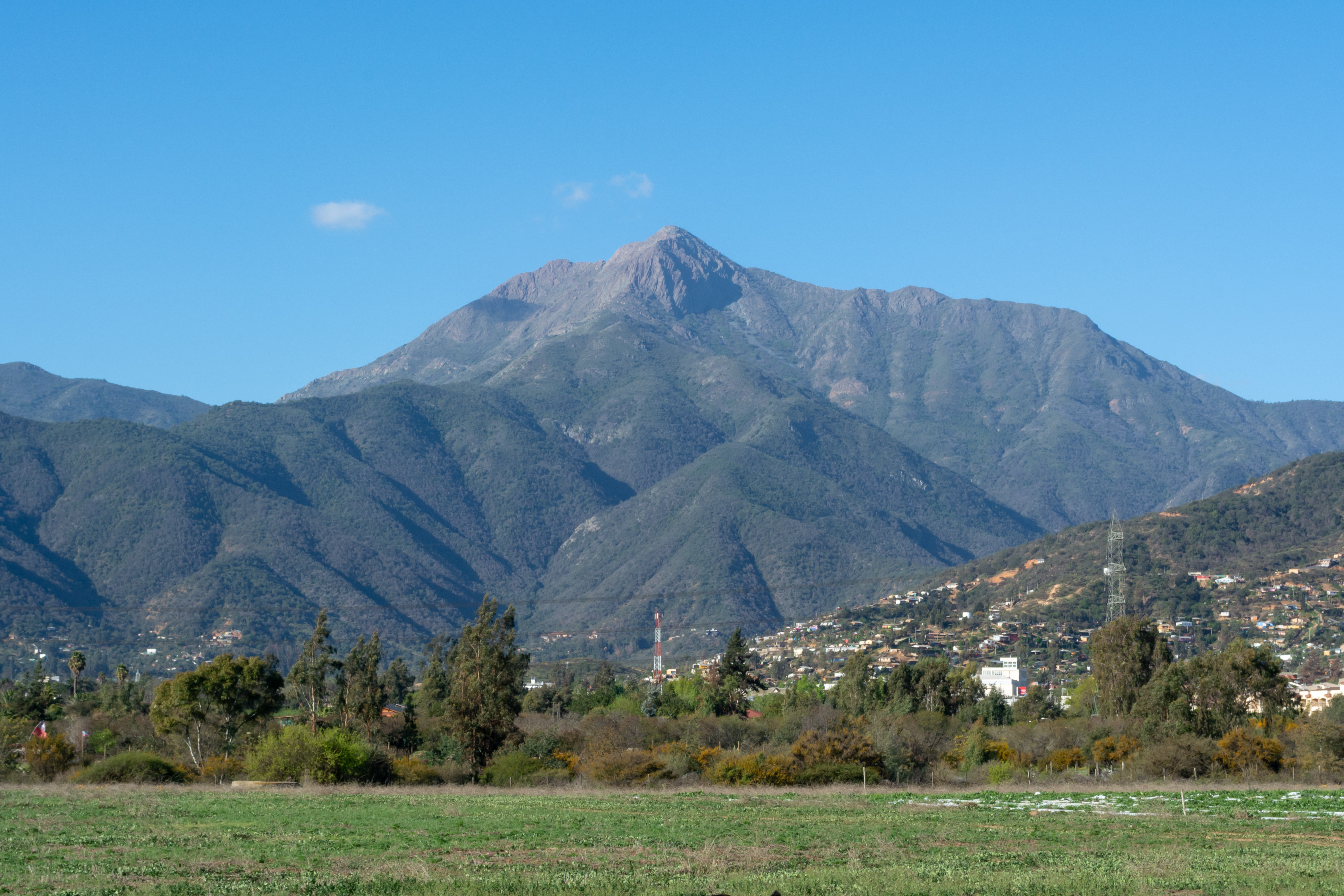 Cerro La Campana (sector oriente de la Cordillera de la Costa)
