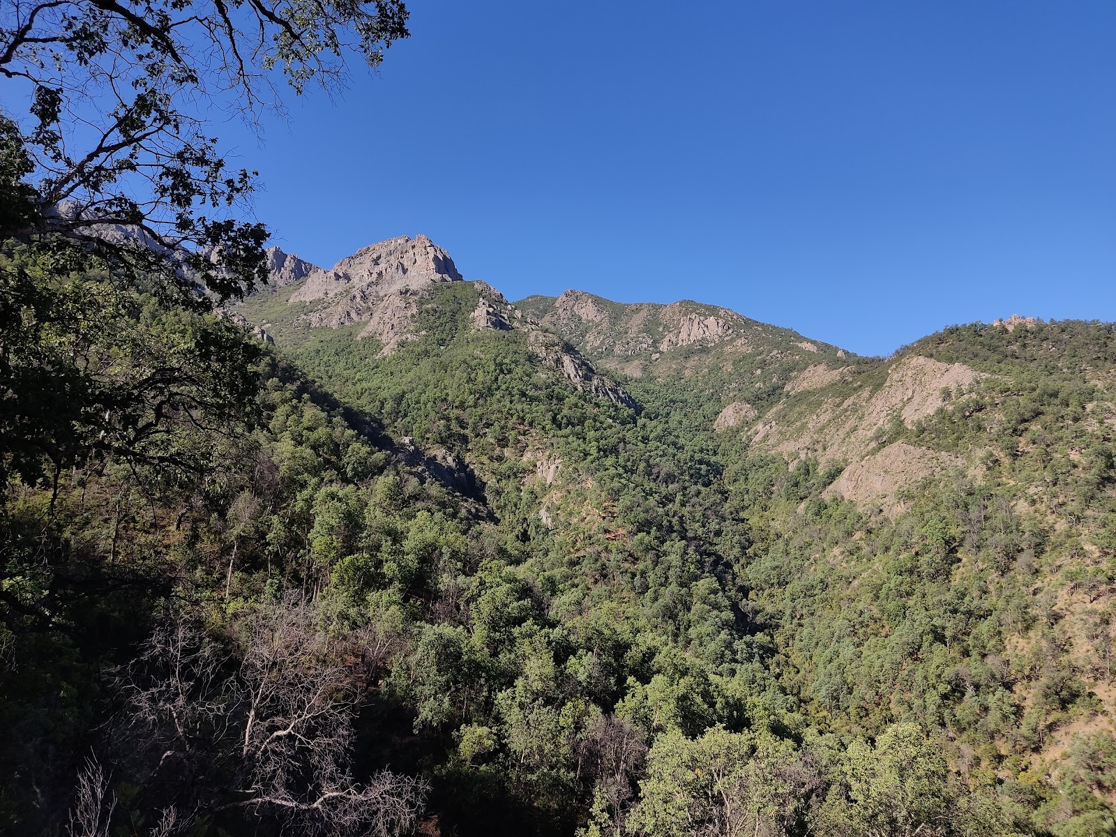 Cerro Poqui