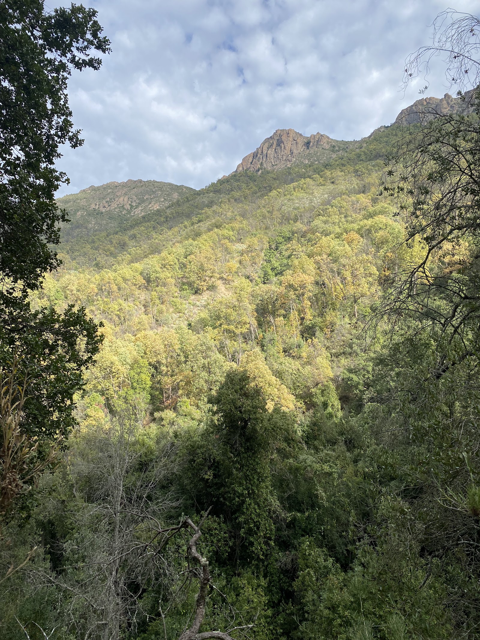 Cerro Poqui — Oficiais