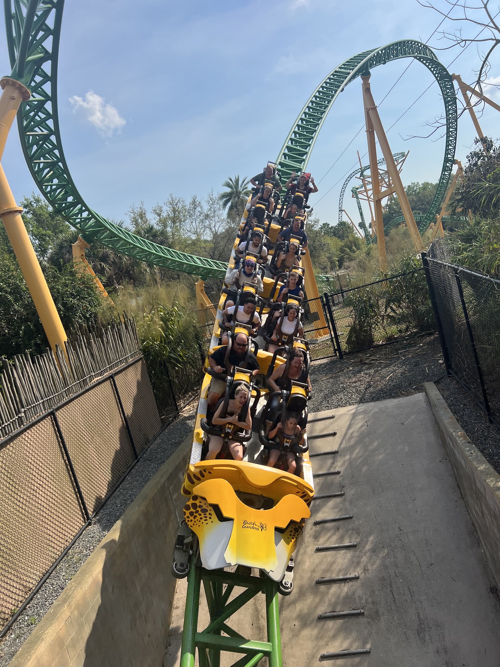 Cheetah Hunt — Oficiais